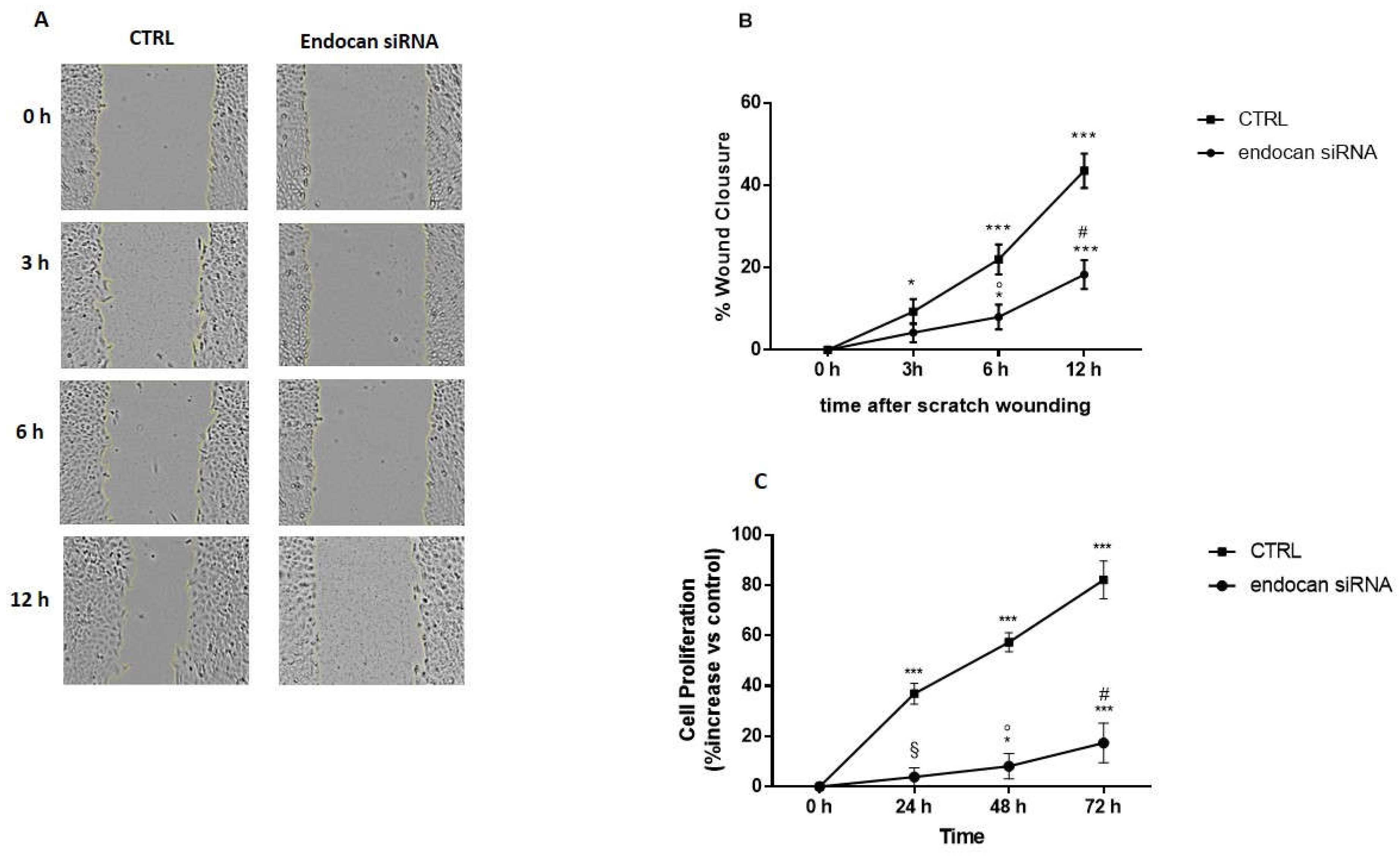 Ijms 24 08178 g003 Ijms 24 08178 g003