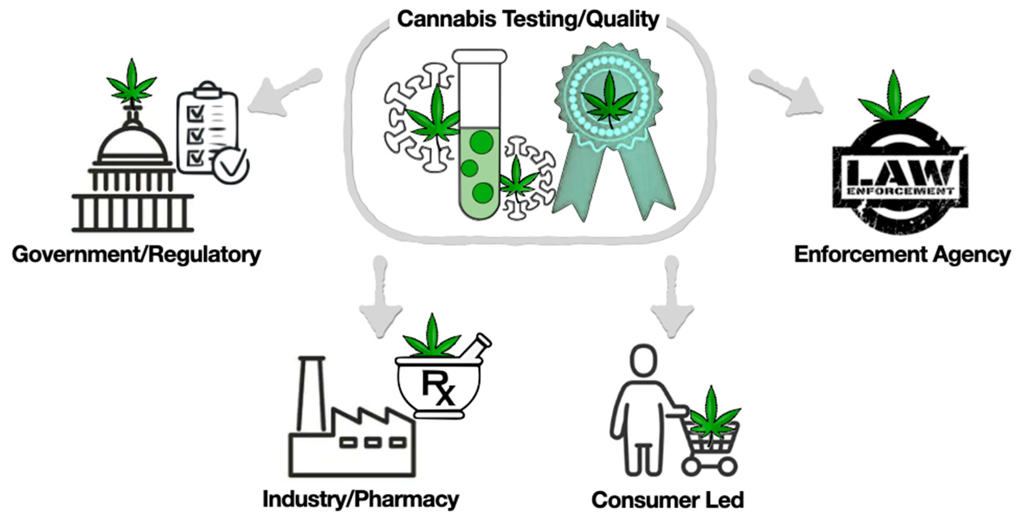 Ijms 24 08202 g002 Ijms 24 08202 g002