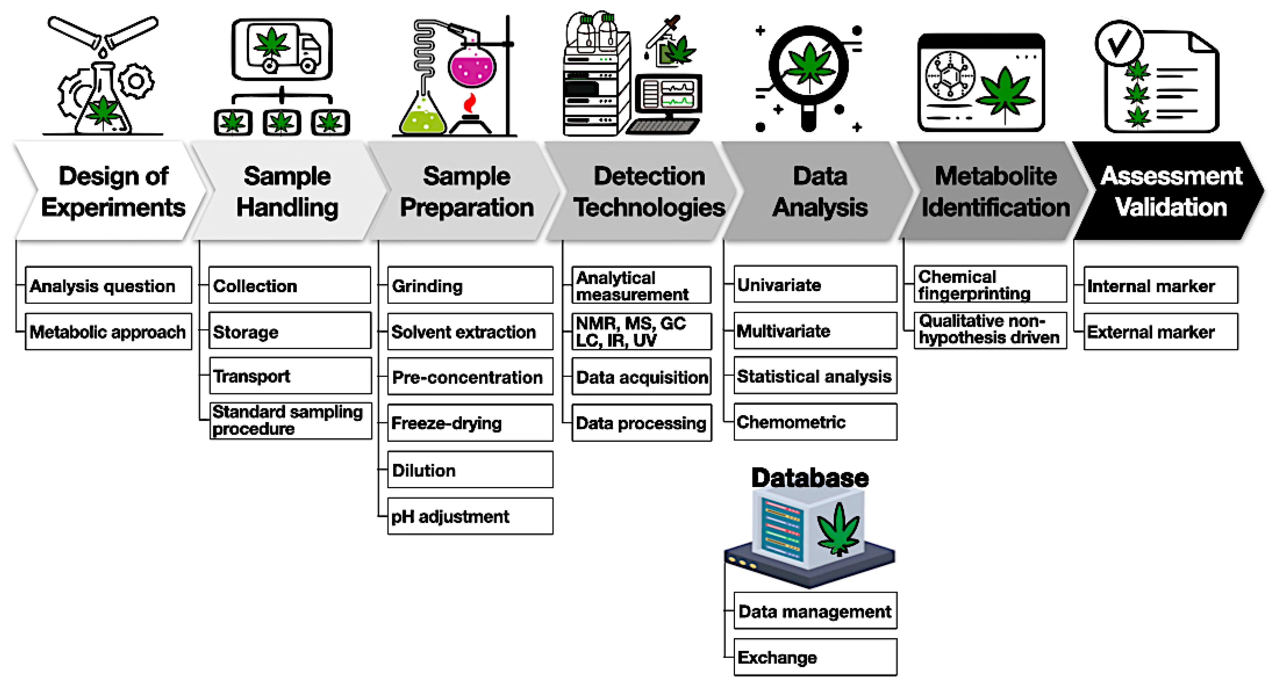 Ijms 24 08202 g004 Ijms 24 08202 g004