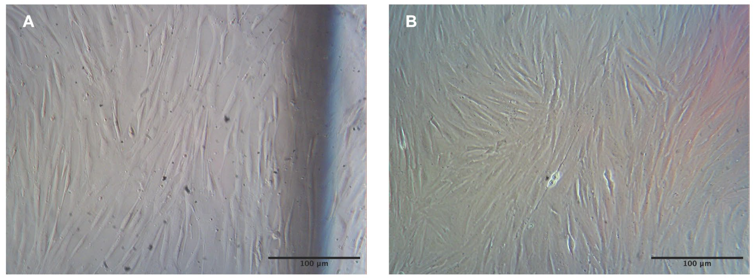 Ijms 24 08204 g001 Ijms 24 08204 g001