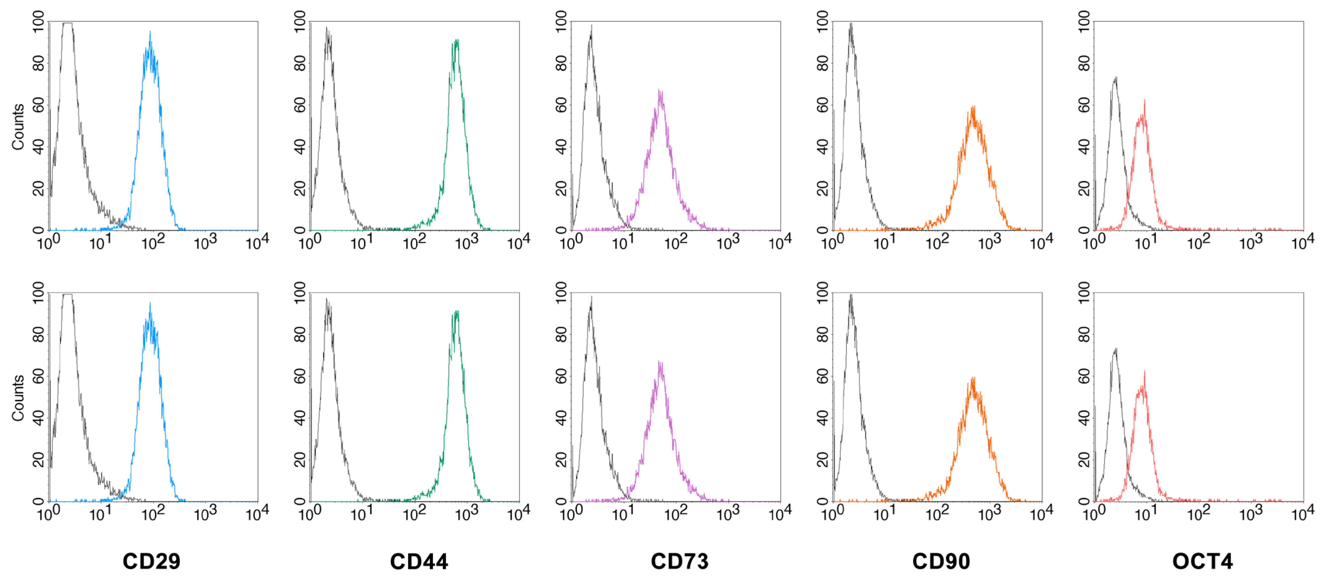 Ijms 24 08204 g002 Ijms 24 08204 g002