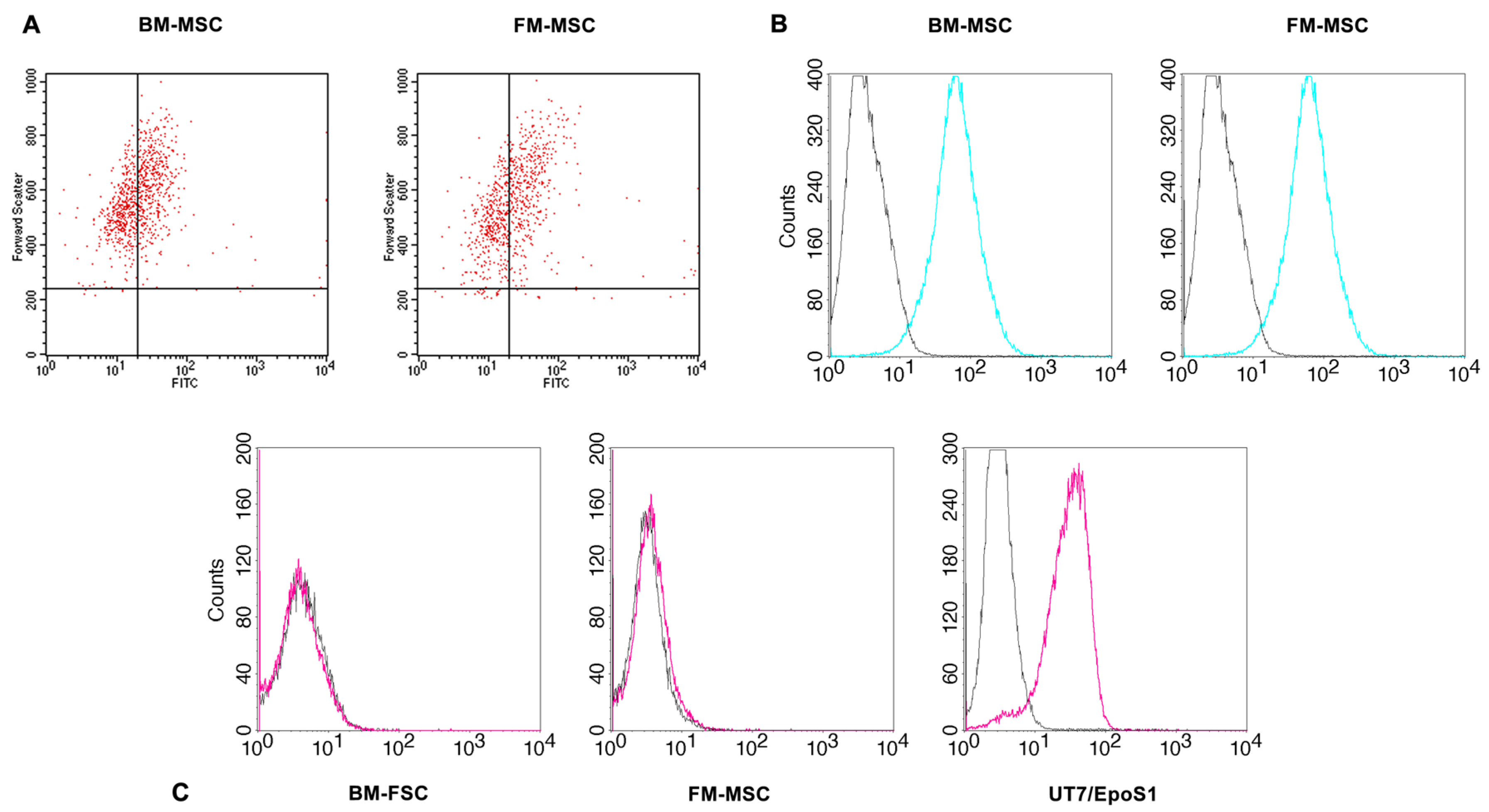Ijms 24 08204 g003 Ijms 24 08204 g003