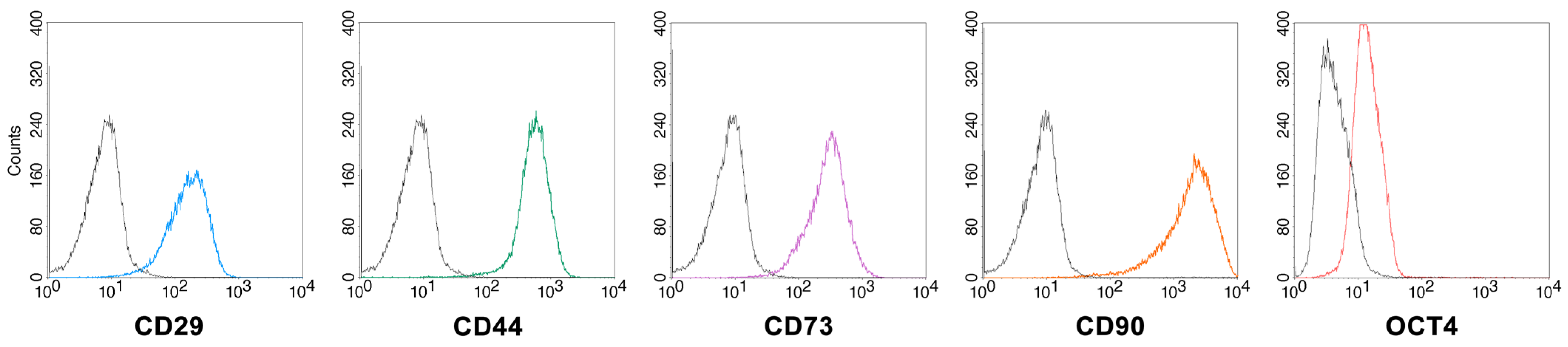 Ijms 24 08204 g005 Ijms 24 08204 g005