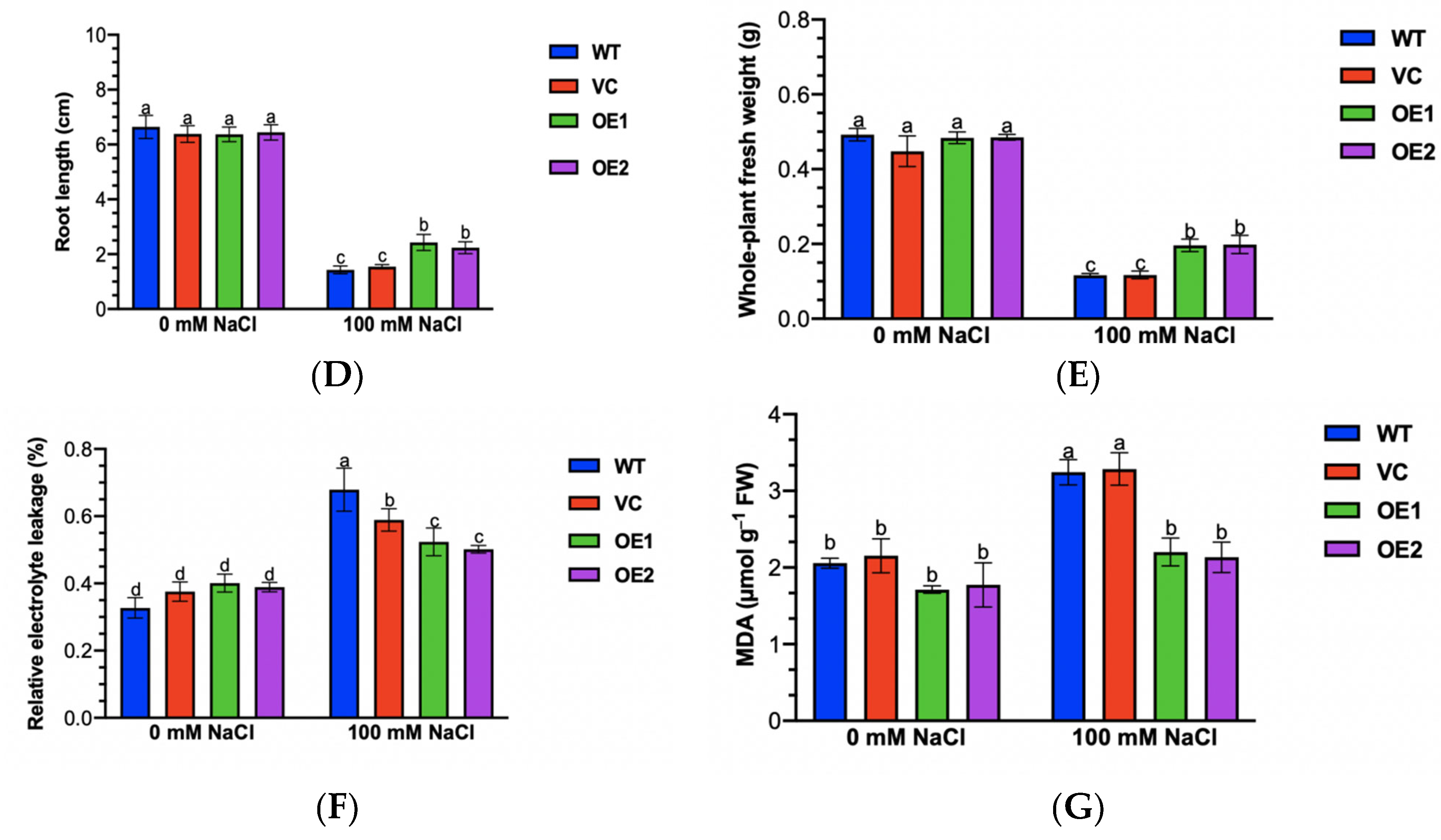 Ijms 24 08208 g009b Ijms 24 08208 g009b