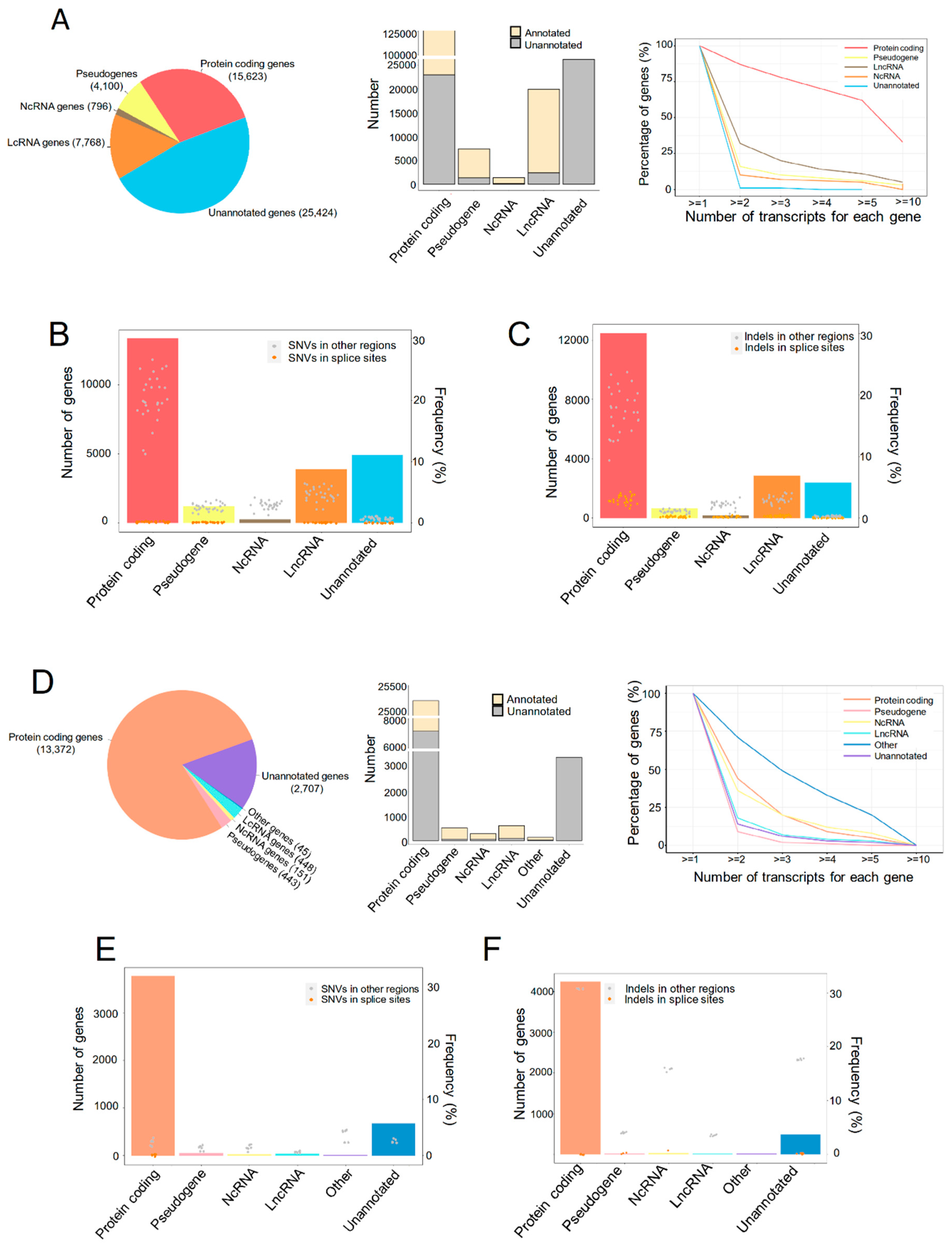 Ijms 24 08216 g001 Ijms 24 08216 g001