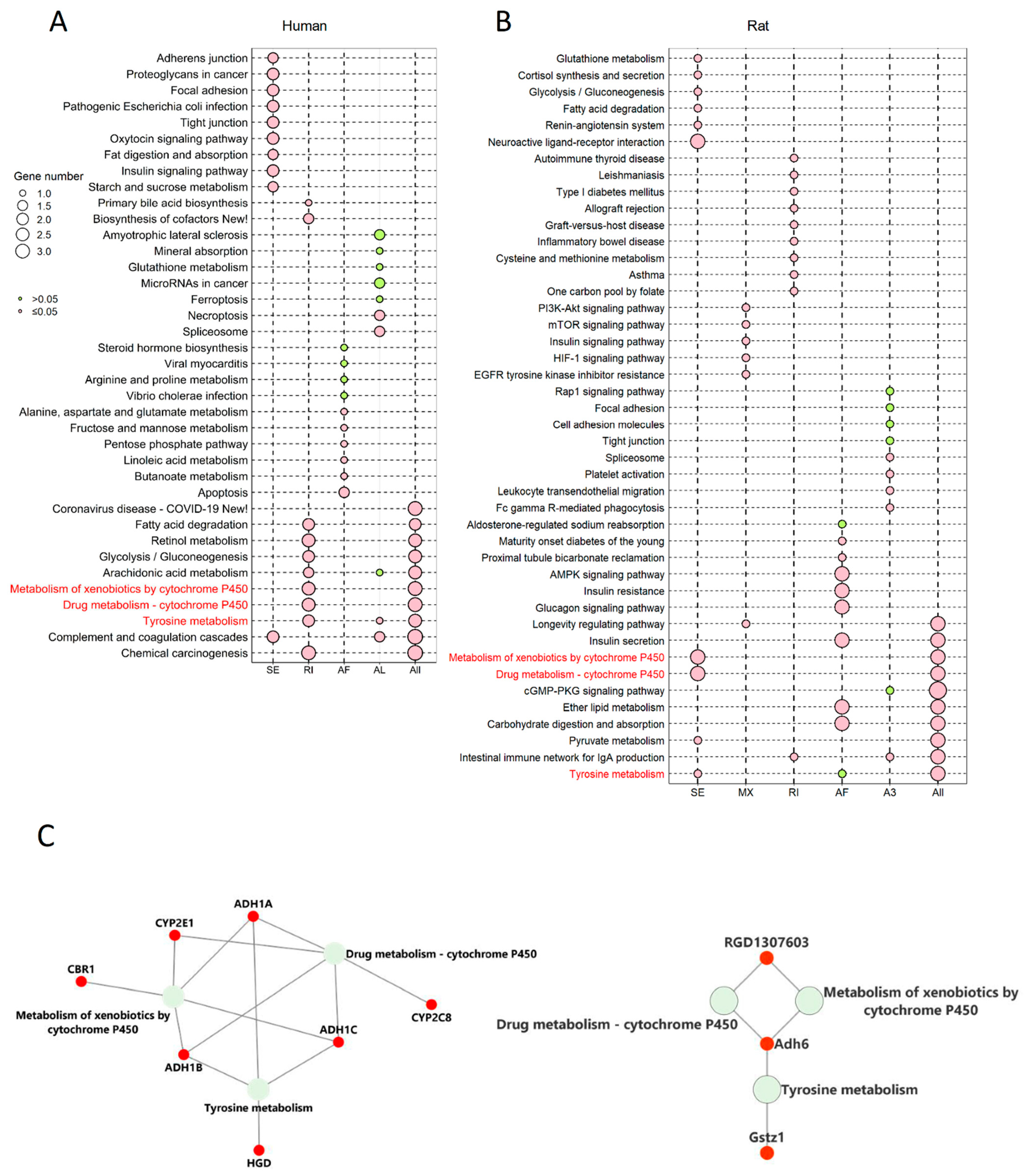 Ijms 24 08216 g005a Ijms 24 08216 g005a