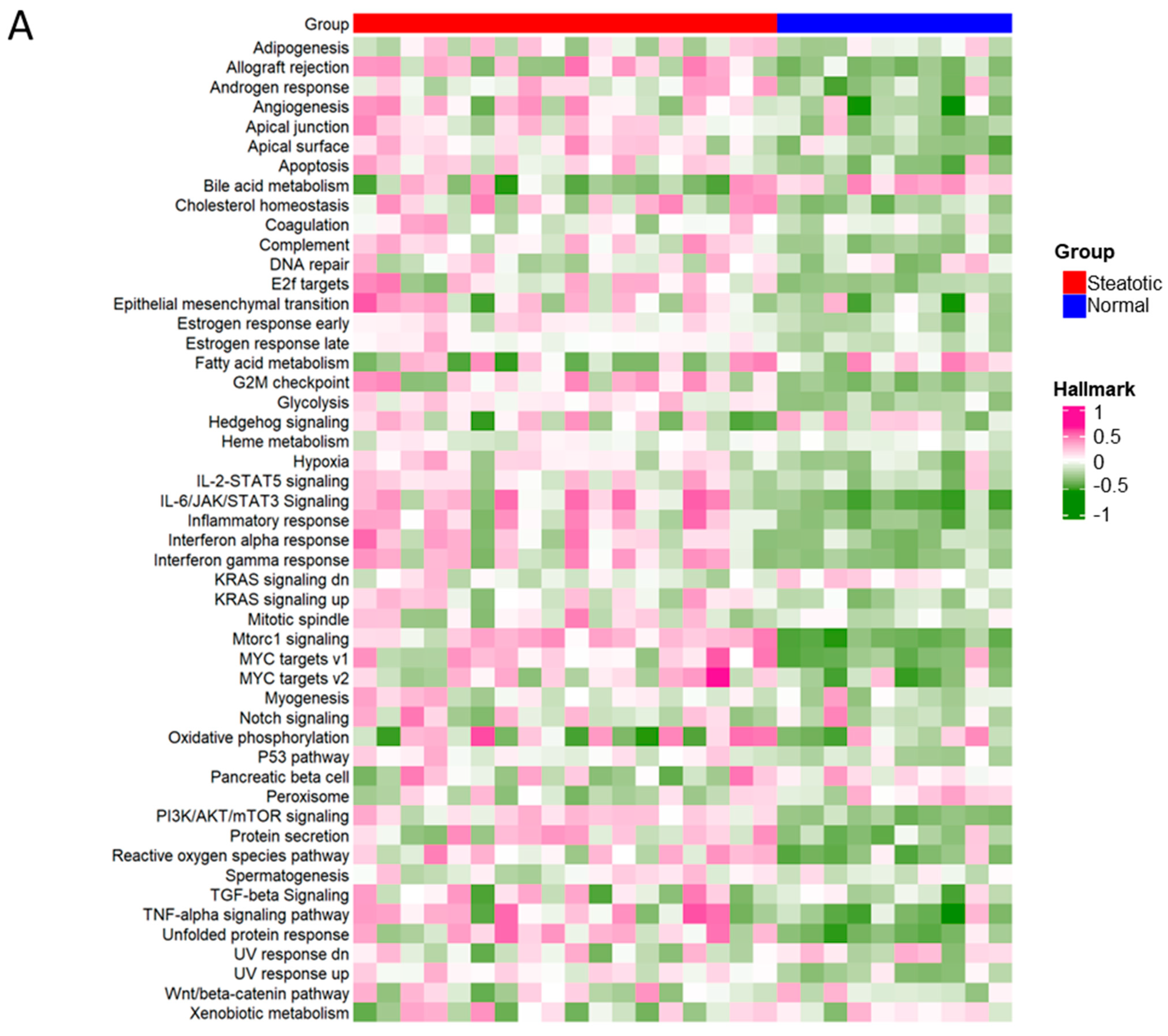 Ijms 24 08216 g008a Ijms 24 08216 g008a