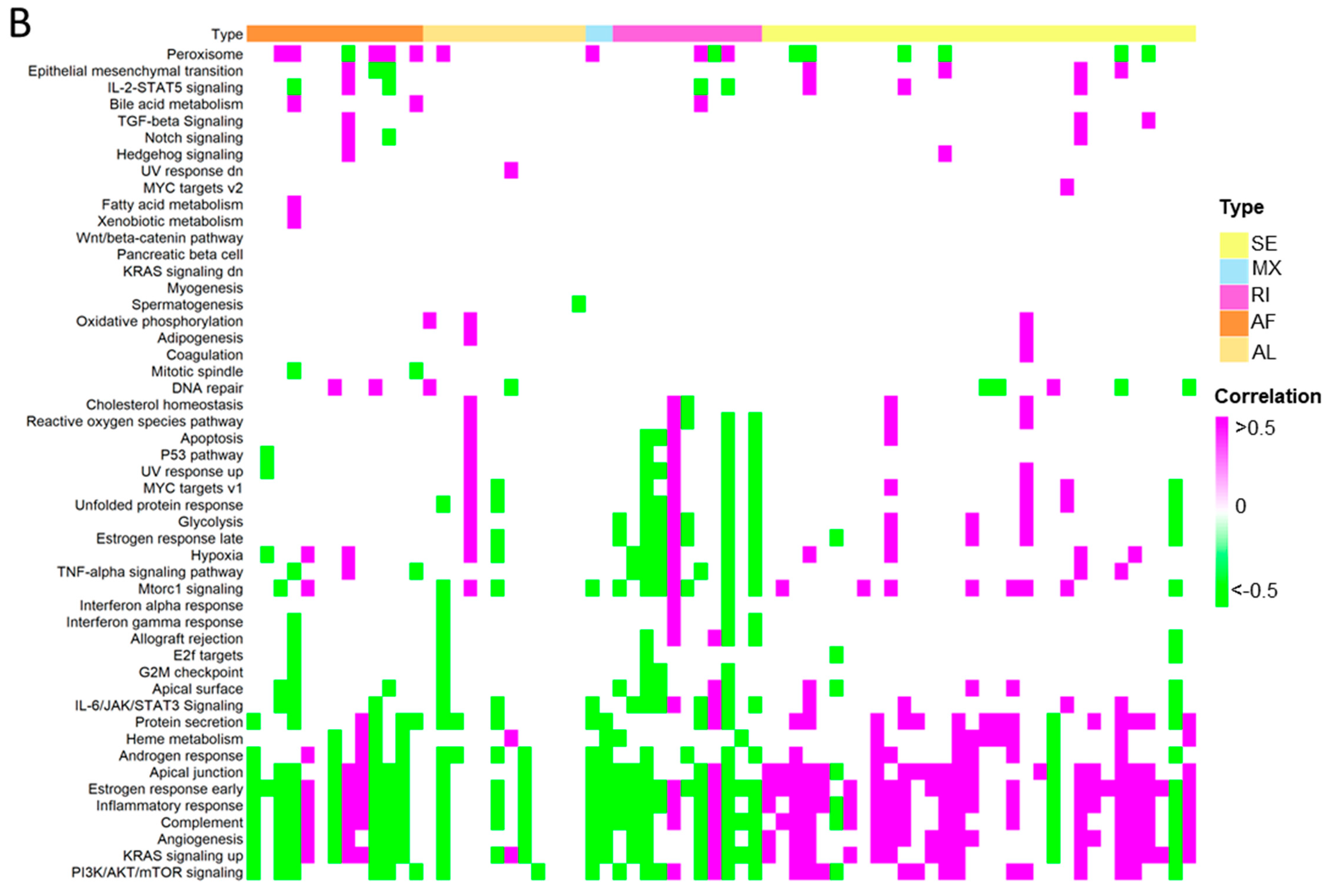 Ijms 24 08216 g008b Ijms 24 08216 g008b