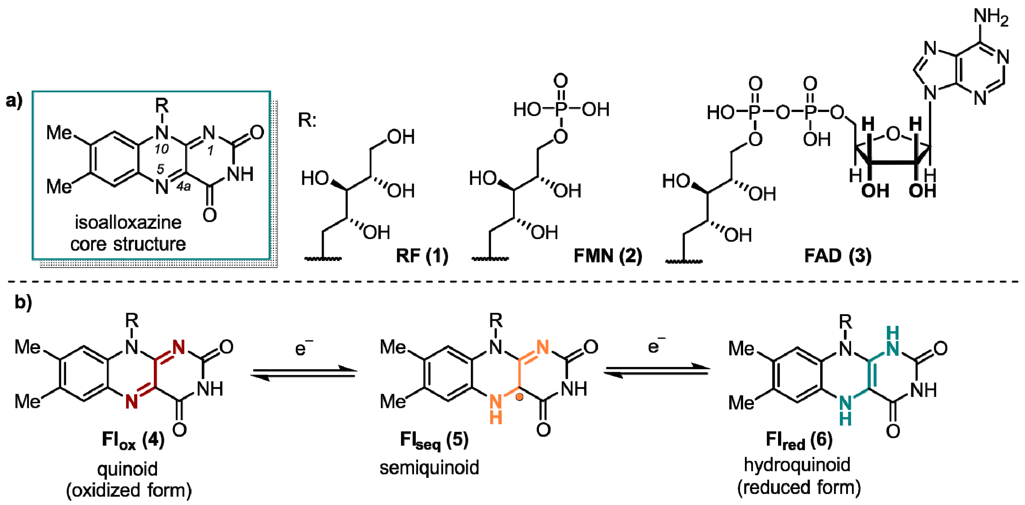 Ijms 24 08218 g001 Ijms 24 08218 g001