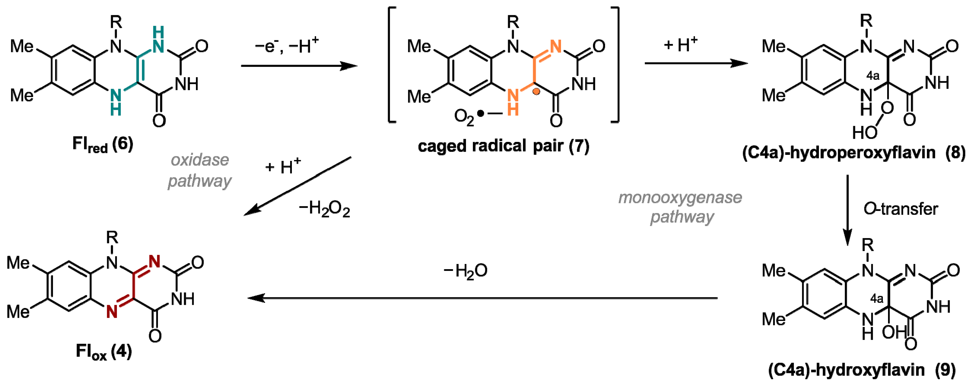 Ijms 24 08218 g002 Ijms 24 08218 g002