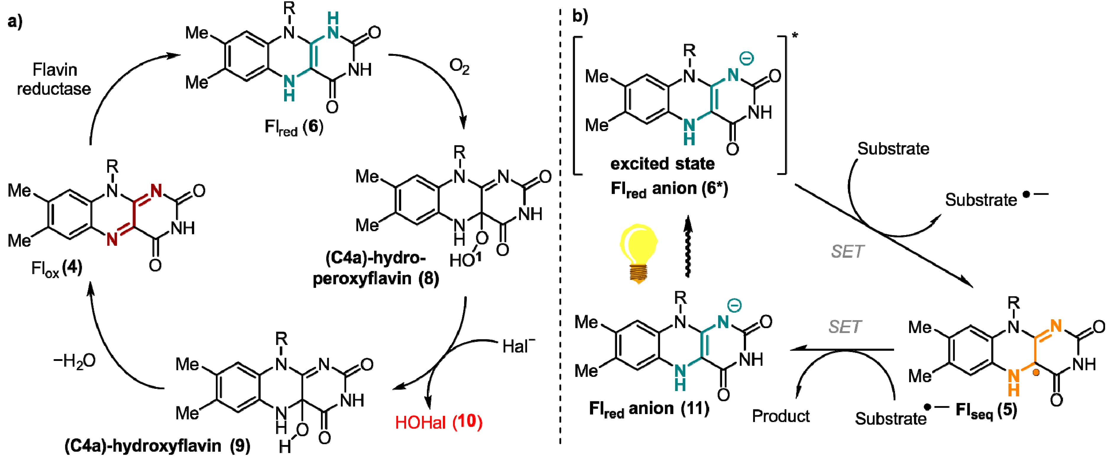 Ijms 24 08218 g003 Ijms 24 08218 g003