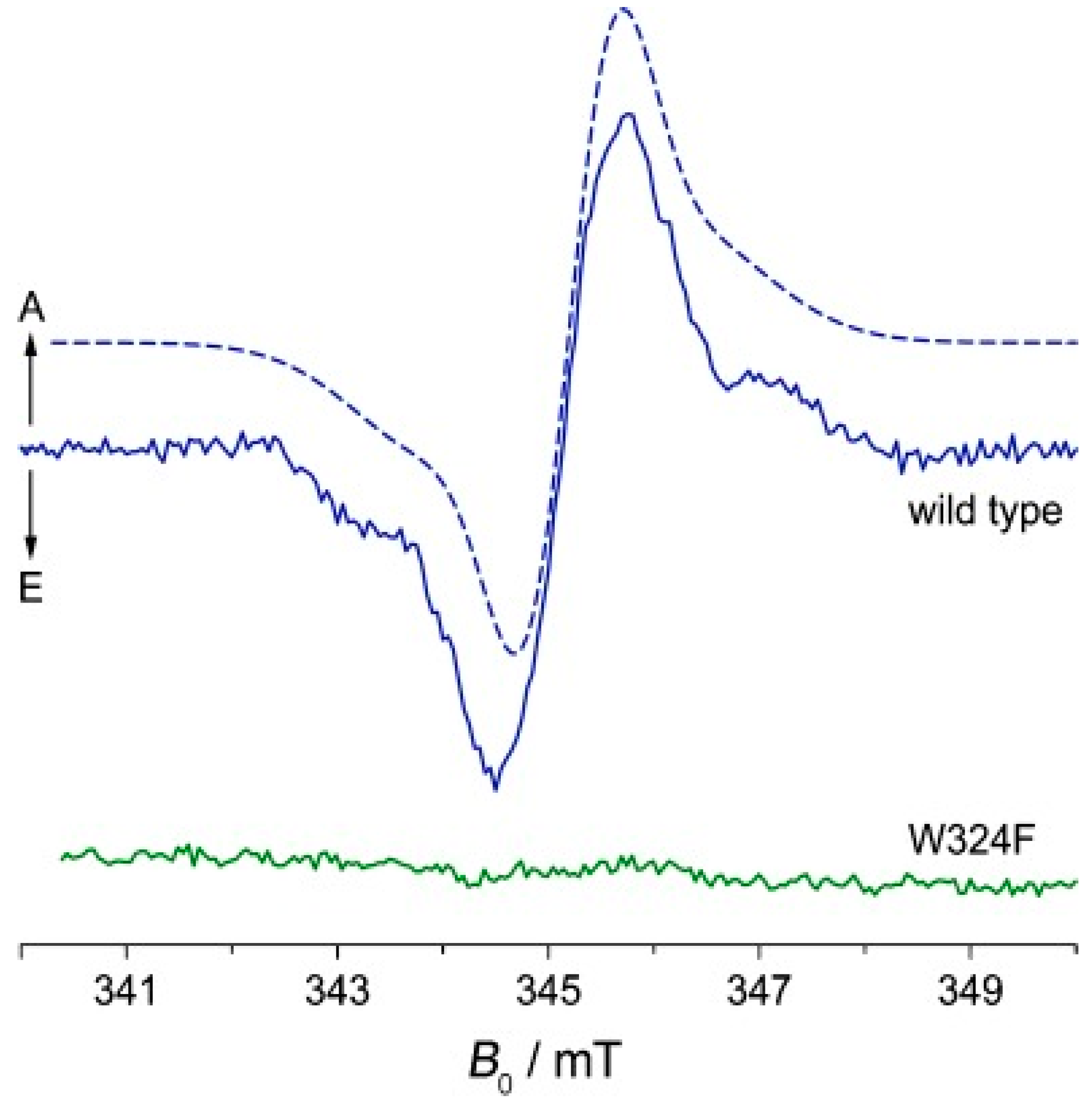 Ijms 24 08218 g004 Ijms 24 08218 g004