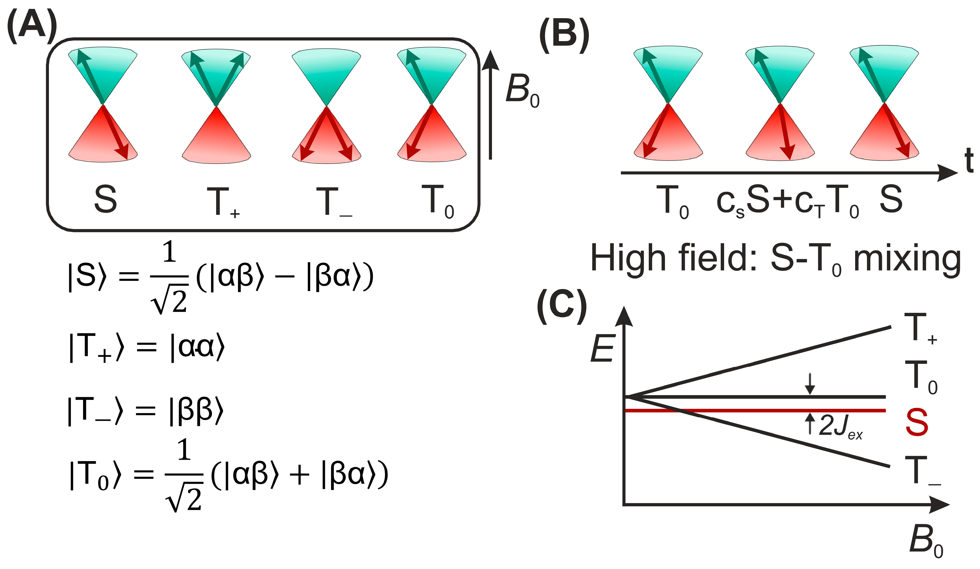 Ijms 24 08218 g005 Ijms 24 08218 g005
