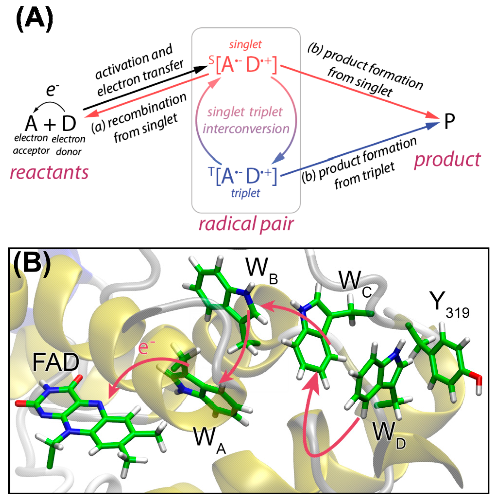Ijms 24 08218 g010 Ijms 24 08218 g010
