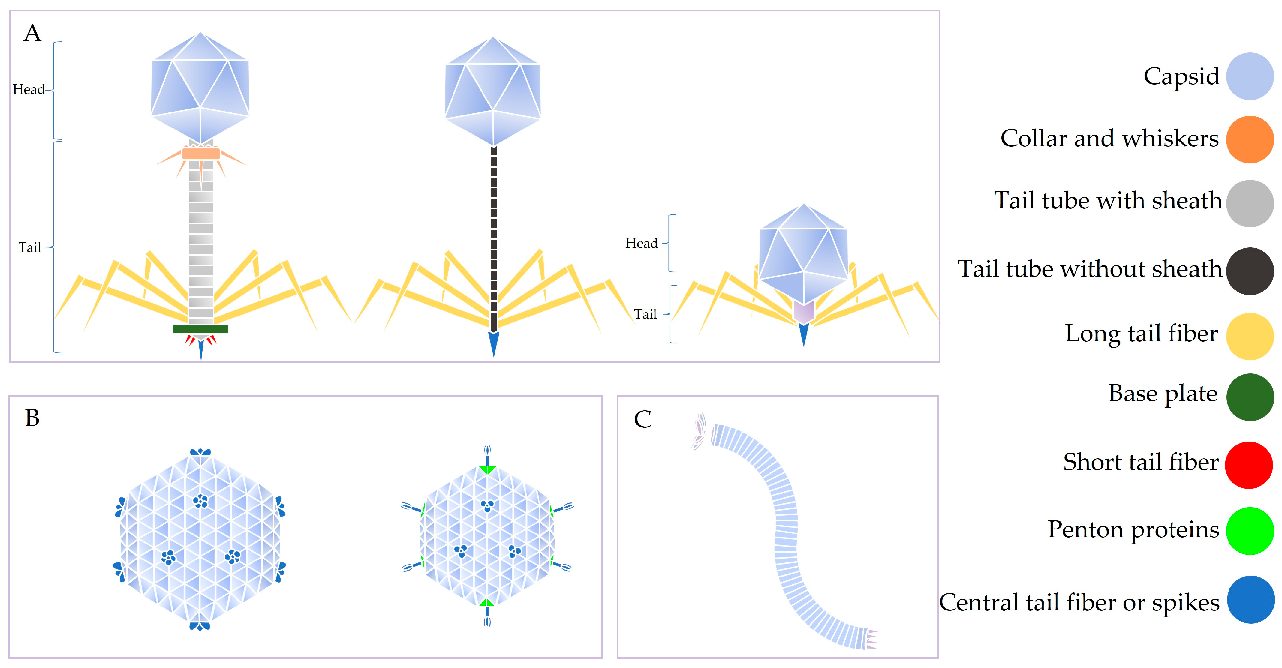 Ijms 24 08222 g001 Ijms 24 08222 g001