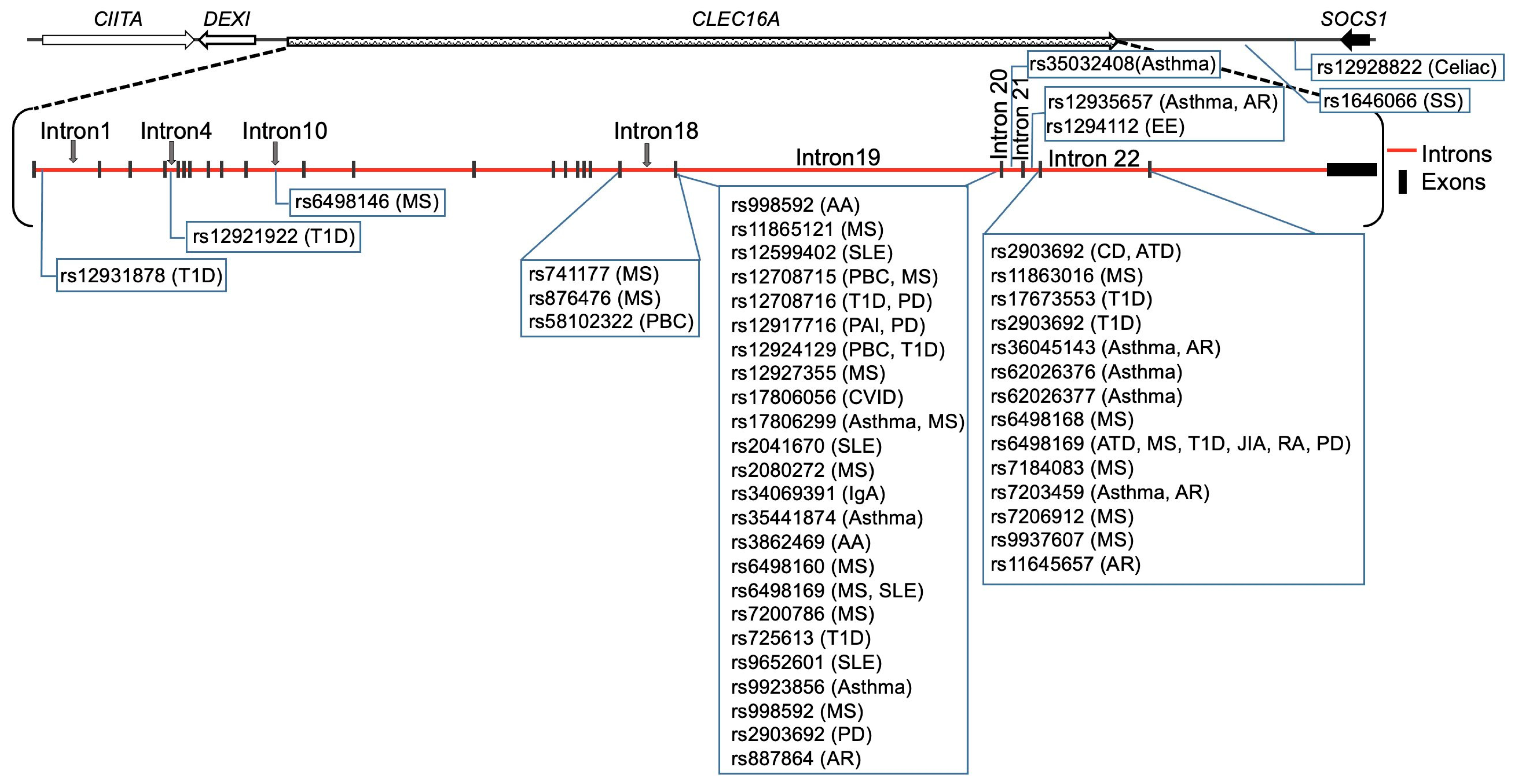 Ijms 24 08224 g003 Ijms 24 08224 g003