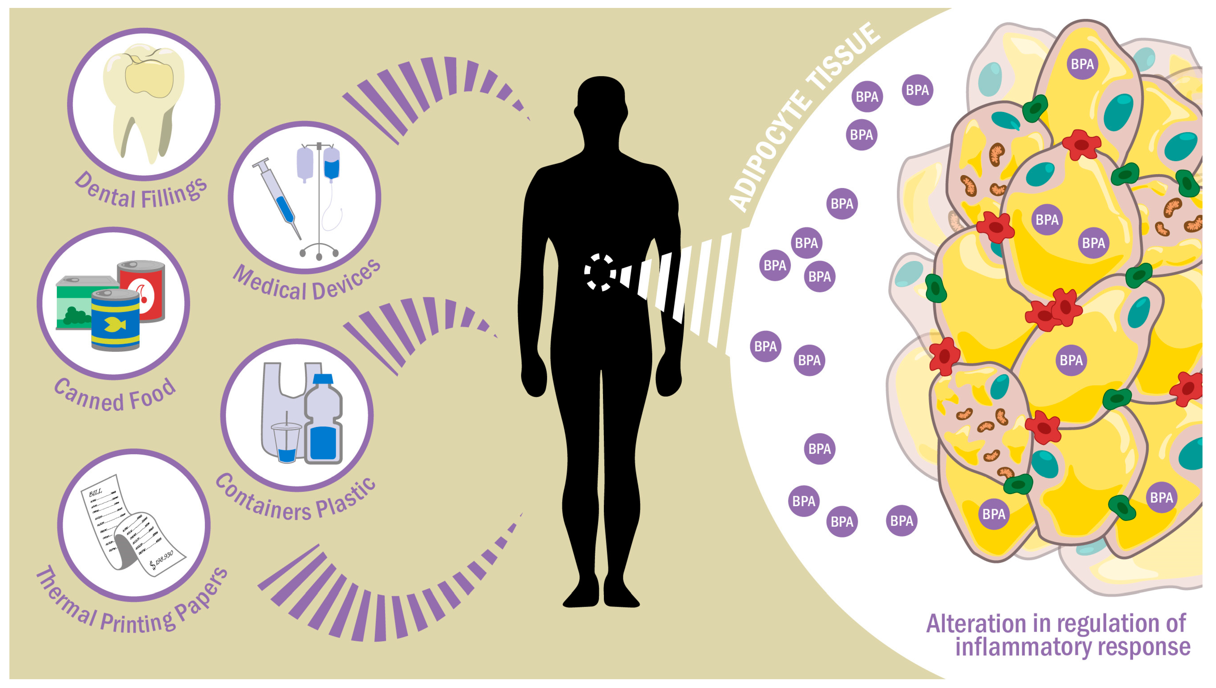 Ijms 24 08231 g001 Ijms 24 08231 g001
