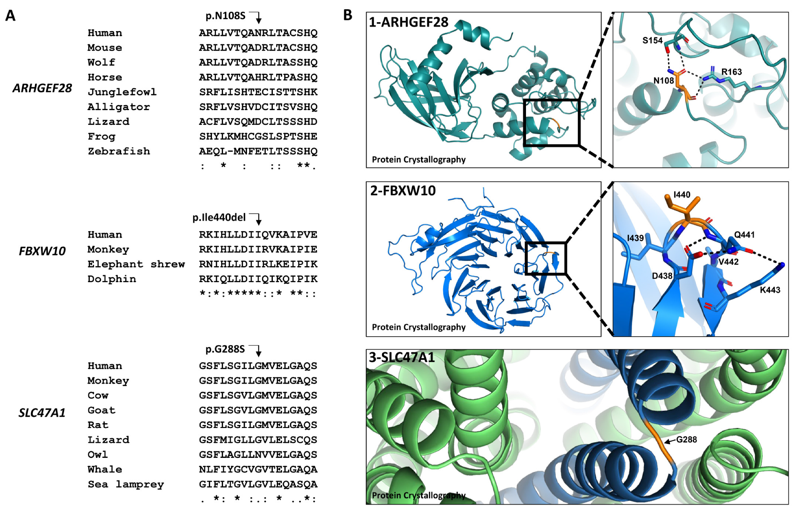 Ijms 24 08233 g002 Ijms 24 08233 g002