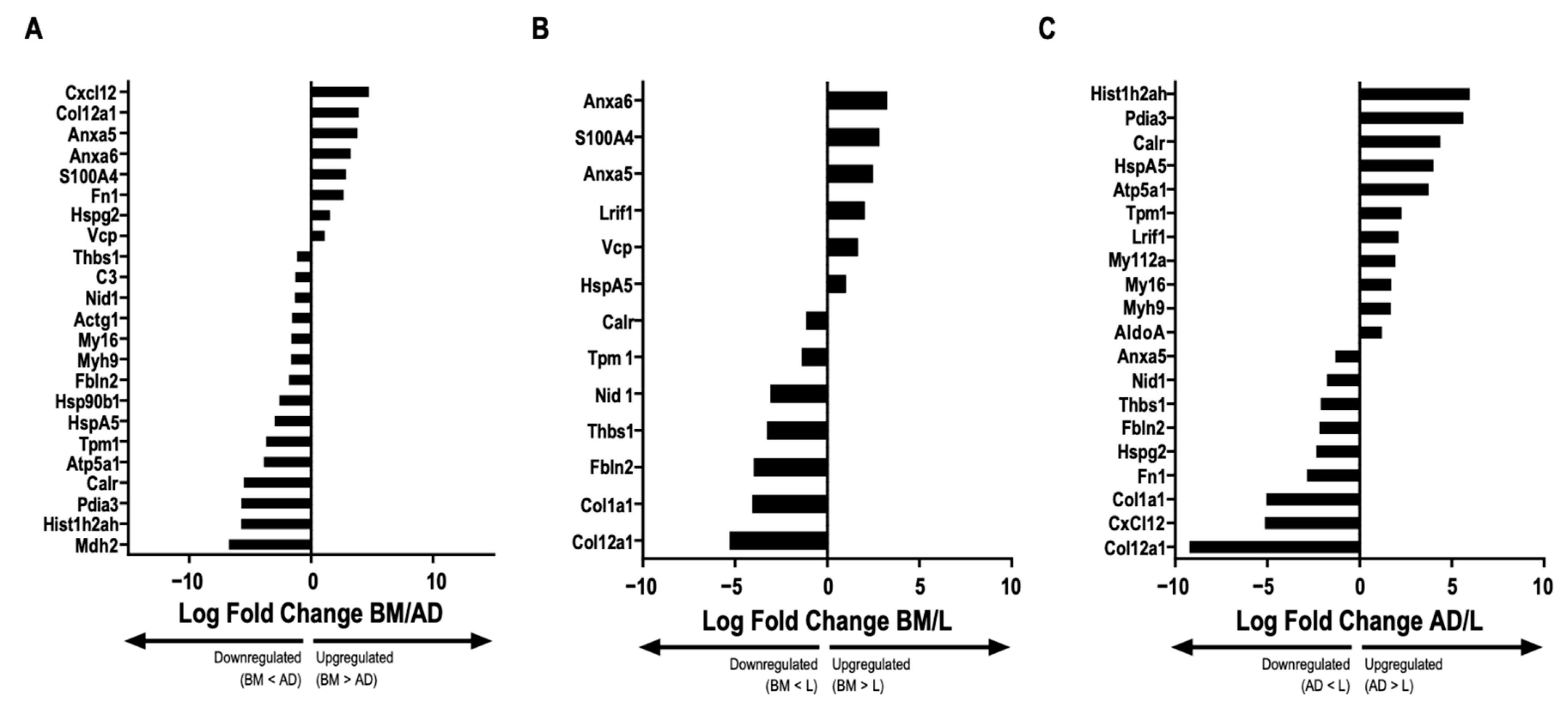 Ijms 24 08234 g003 Ijms 24 08234 g003