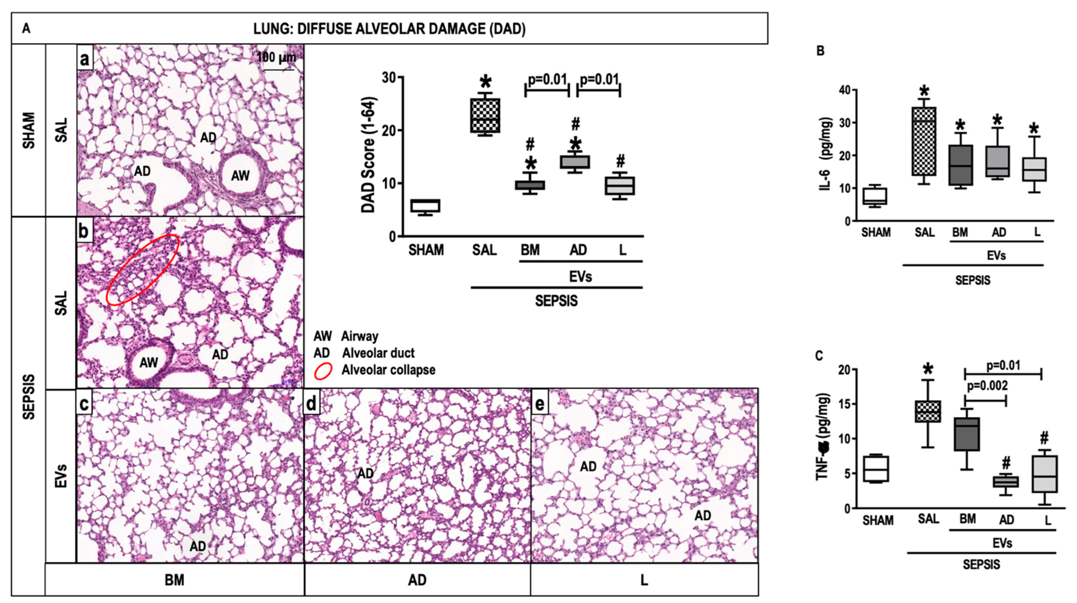 Ijms 24 08234 g004 Ijms 24 08234 g004