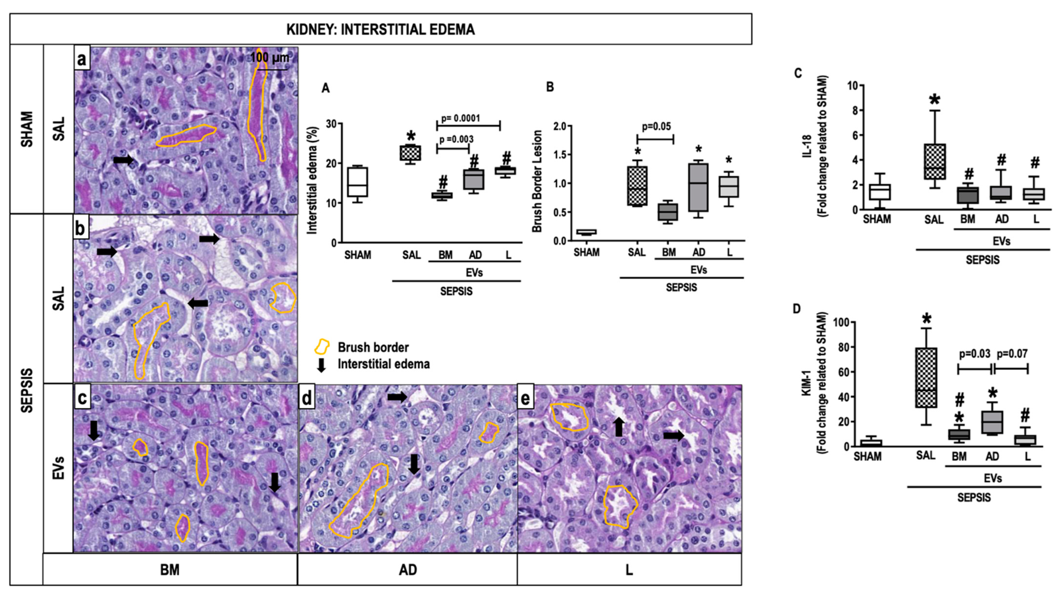 Ijms 24 08234 g005 Ijms 24 08234 g005