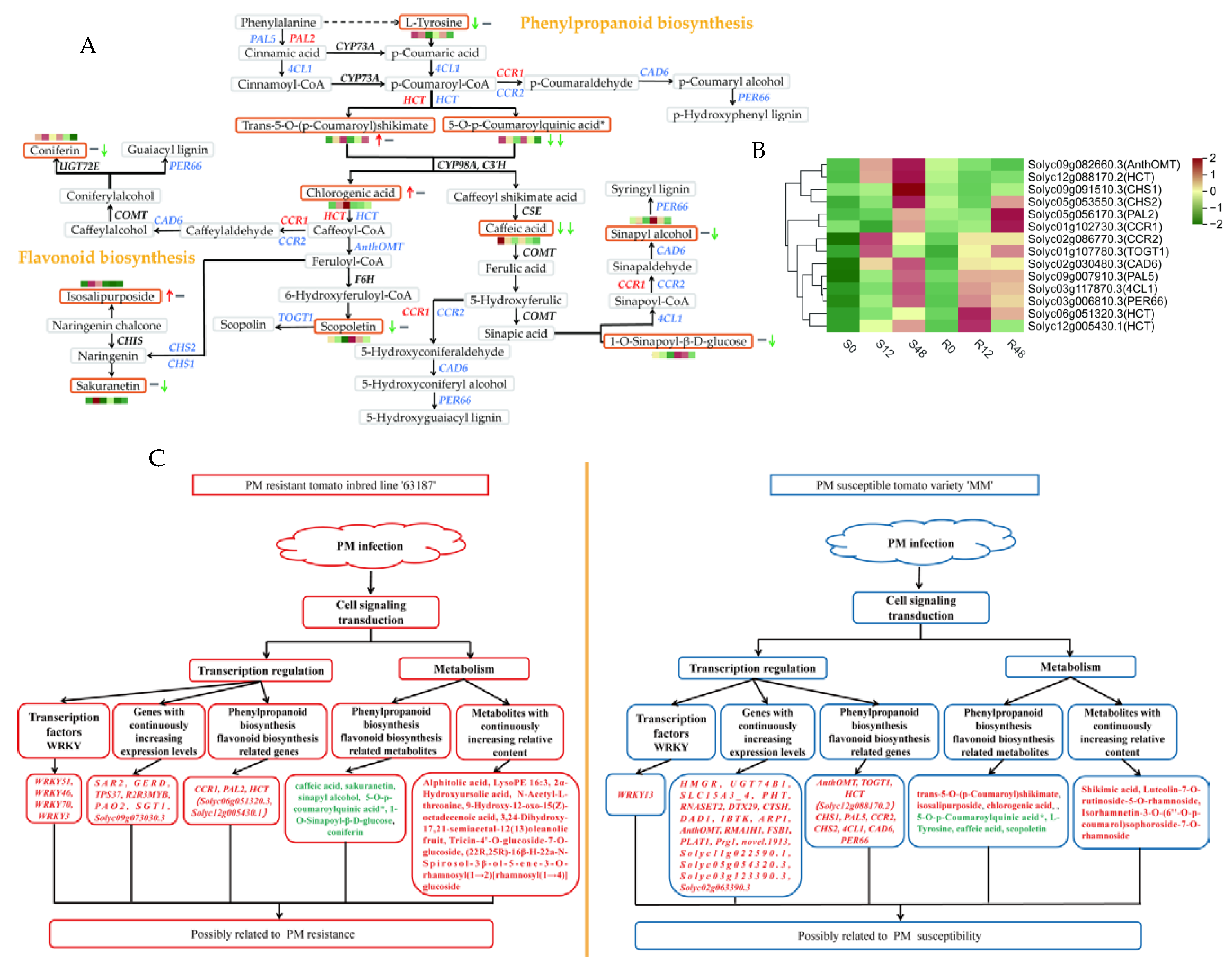 Ijms 24 08236 g005 Ijms 24 08236 g005