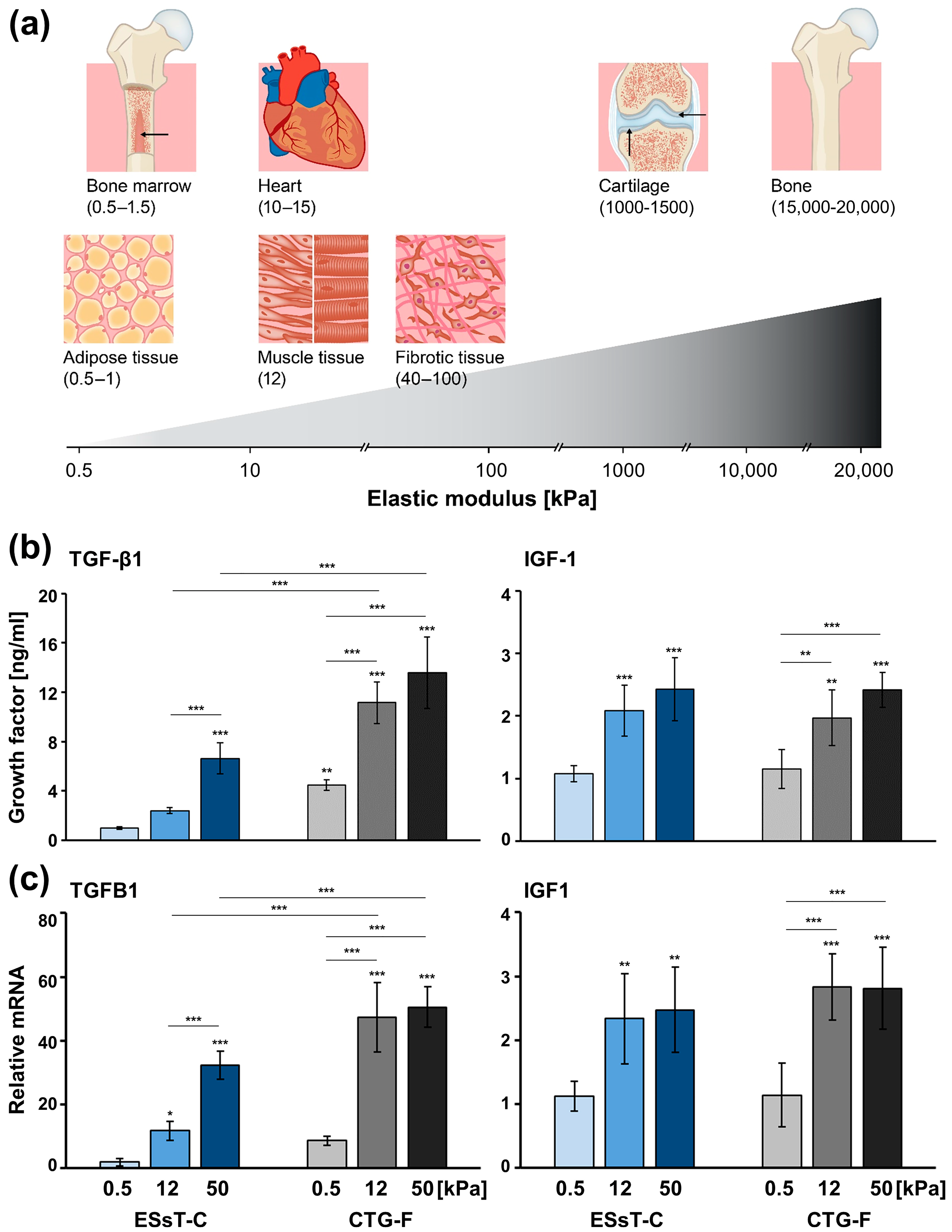 Ijms 24 08239 g005 Ijms 24 08239 g005