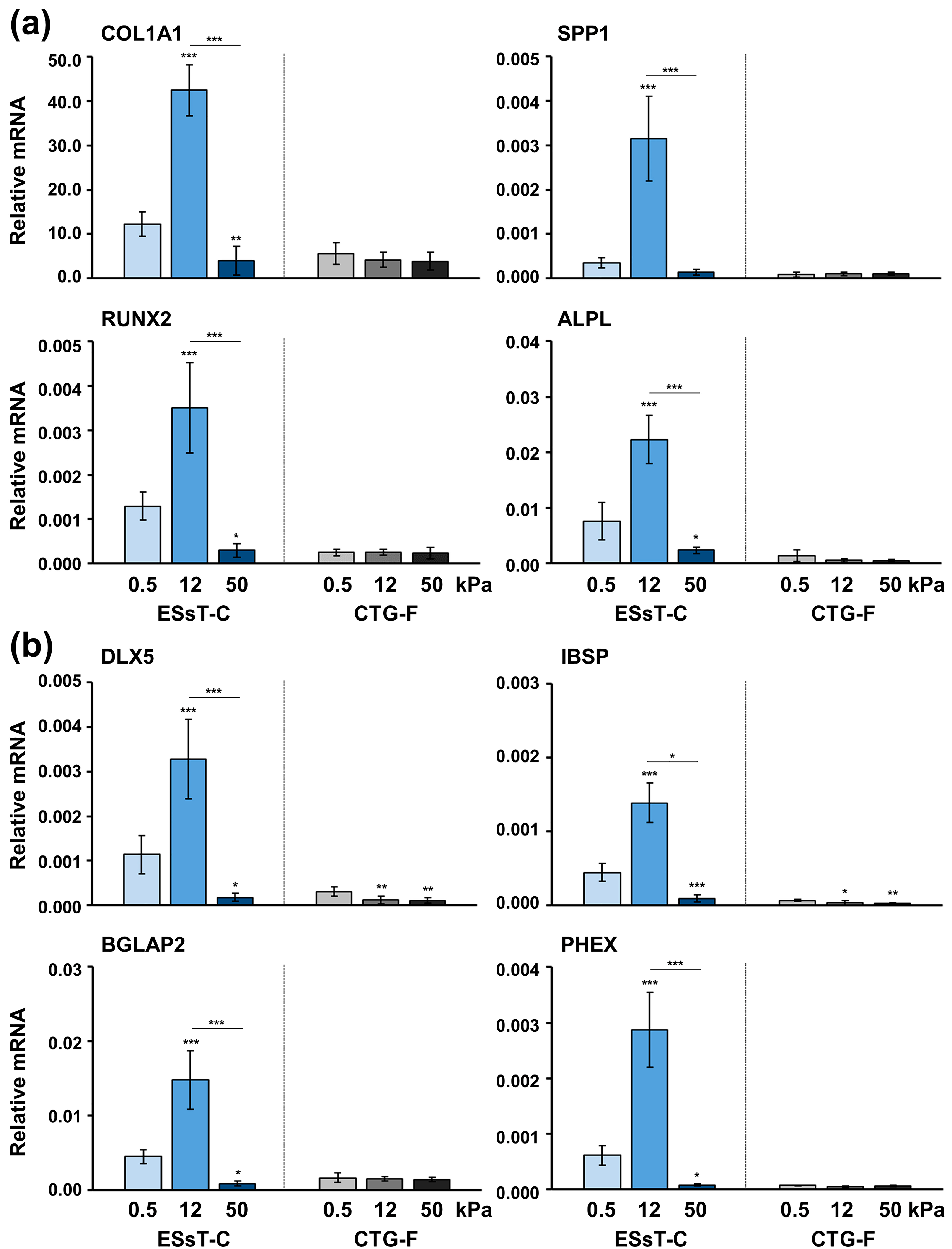 Ijms 24 08239 g006 Ijms 24 08239 g006