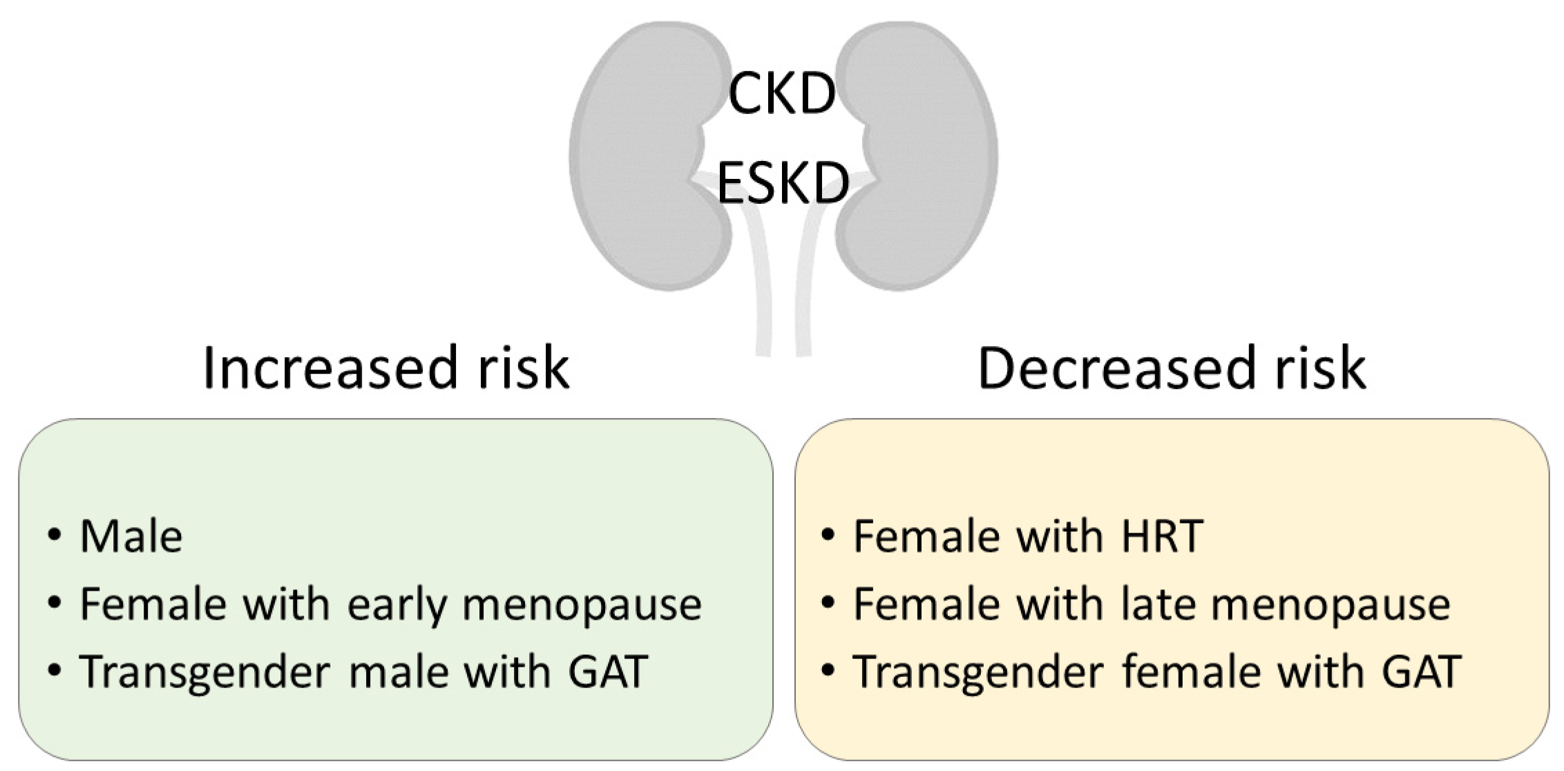 IJMS Free Full-Text Role of Sex Hormones in Prevalent Kidney Diseases