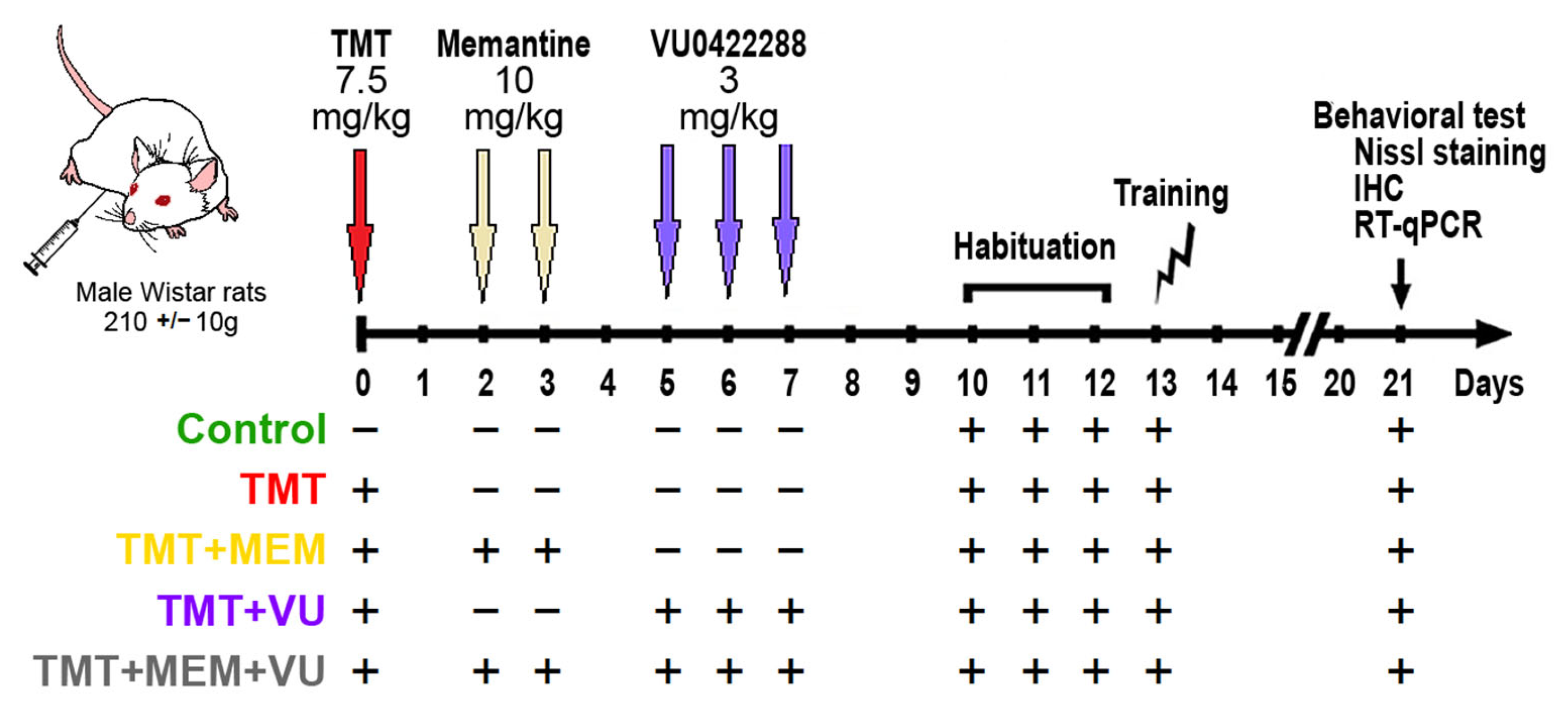 Ijms 24 08249 g001 Ijms 24 08249 g001
