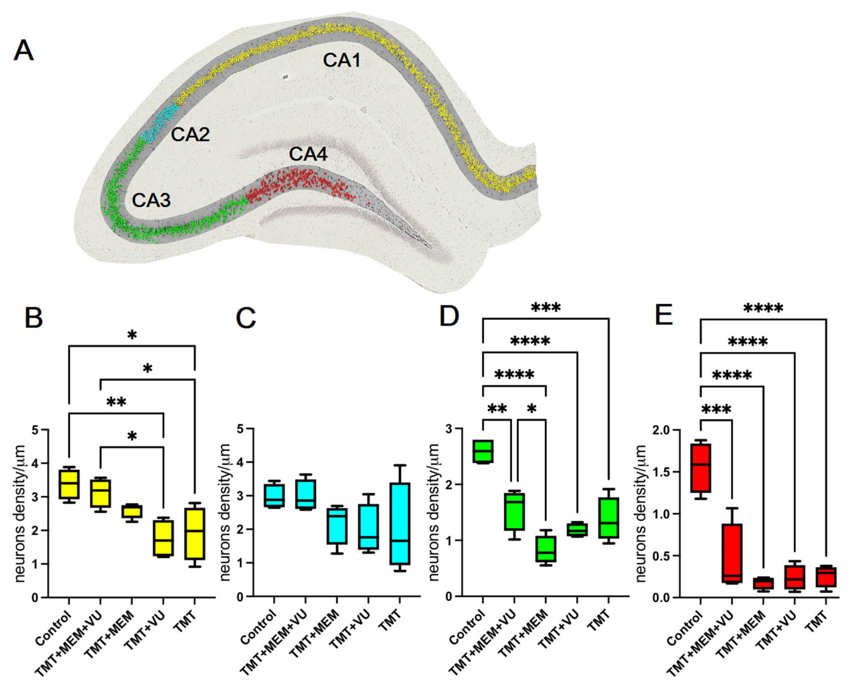 Ijms 24 08249 g002 Ijms 24 08249 g002