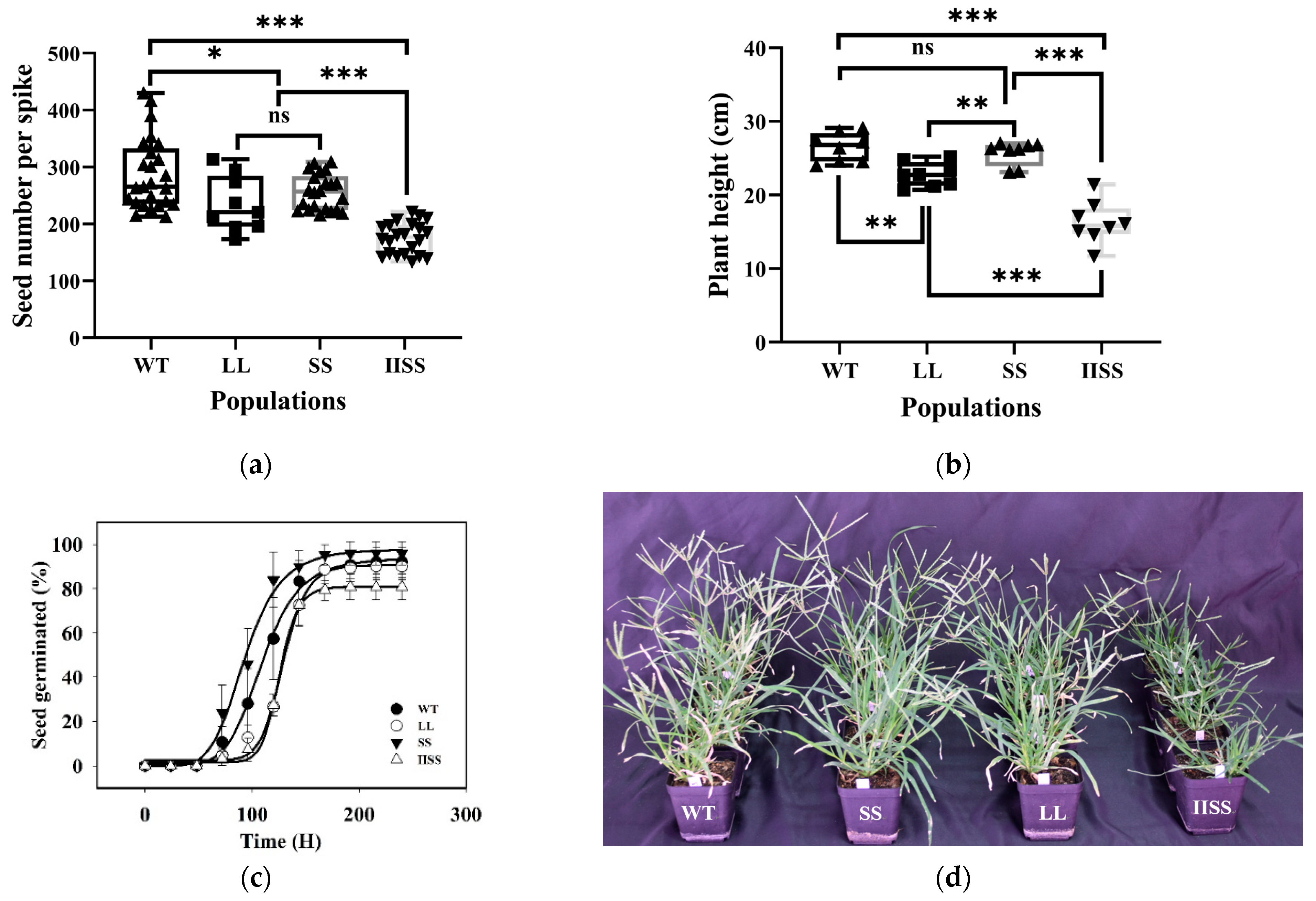 Ijms 24 08250 g004 Ijms 24 08250 g004