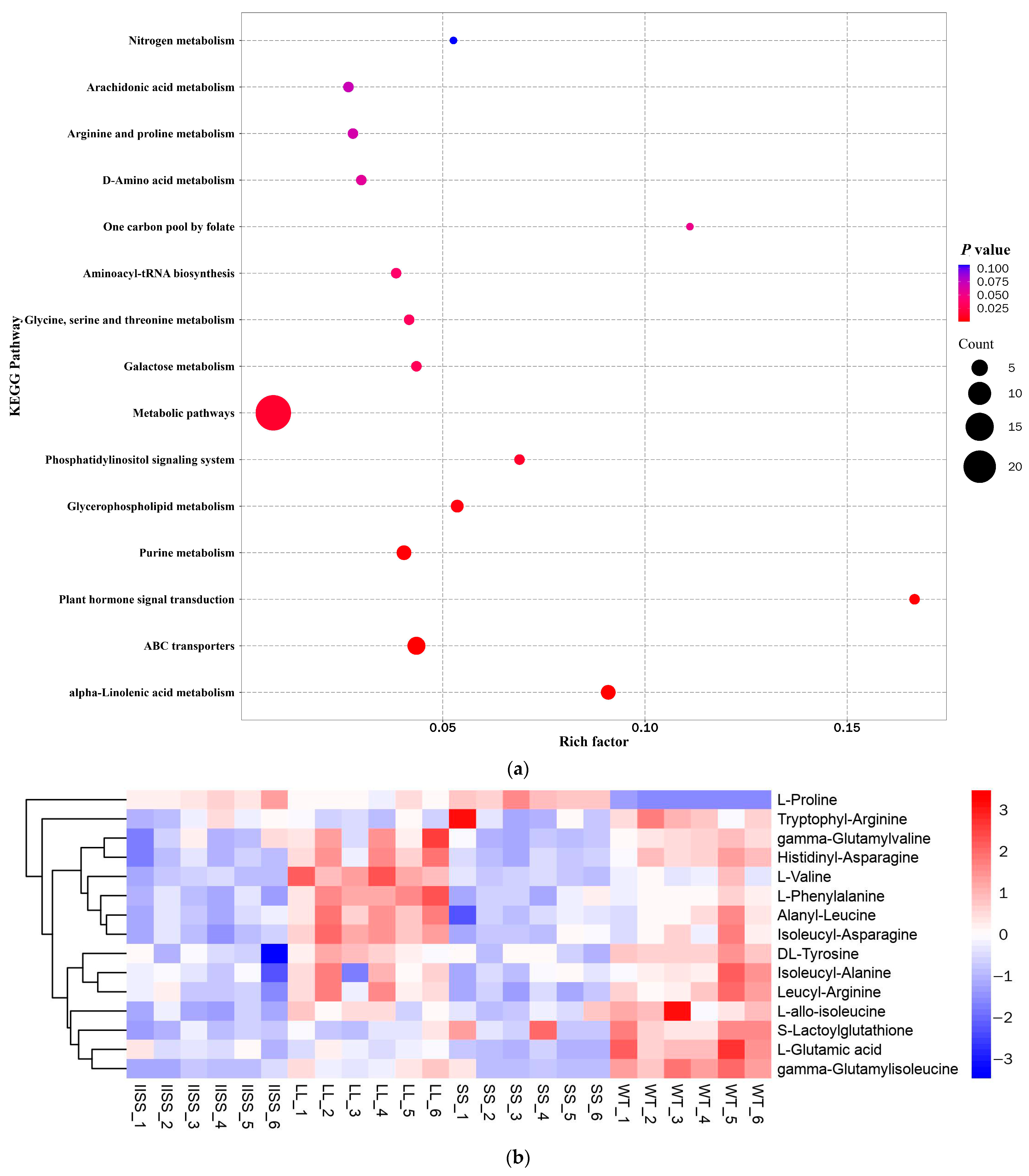 Ijms 24 08250 g005a Ijms 24 08250 g005a