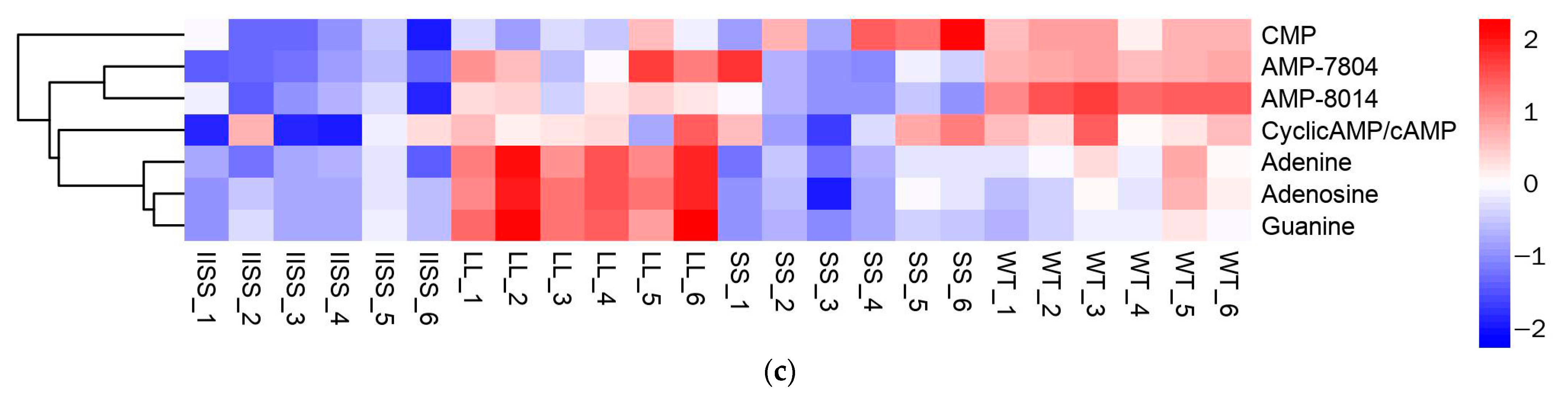 Ijms 24 08250 g005b Ijms 24 08250 g005b