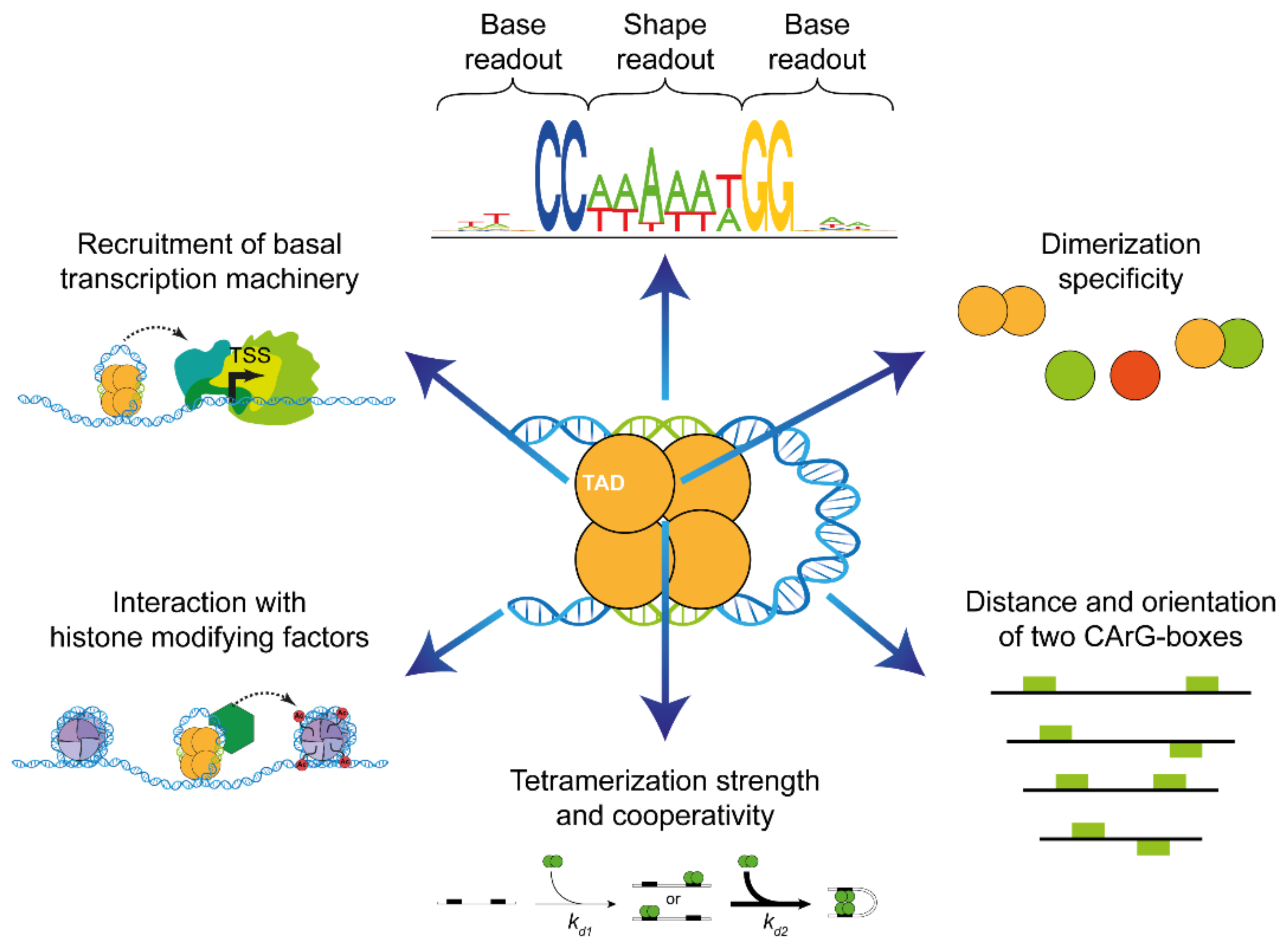 Ijms 24 08253 g002 Ijms 24 08253 g002