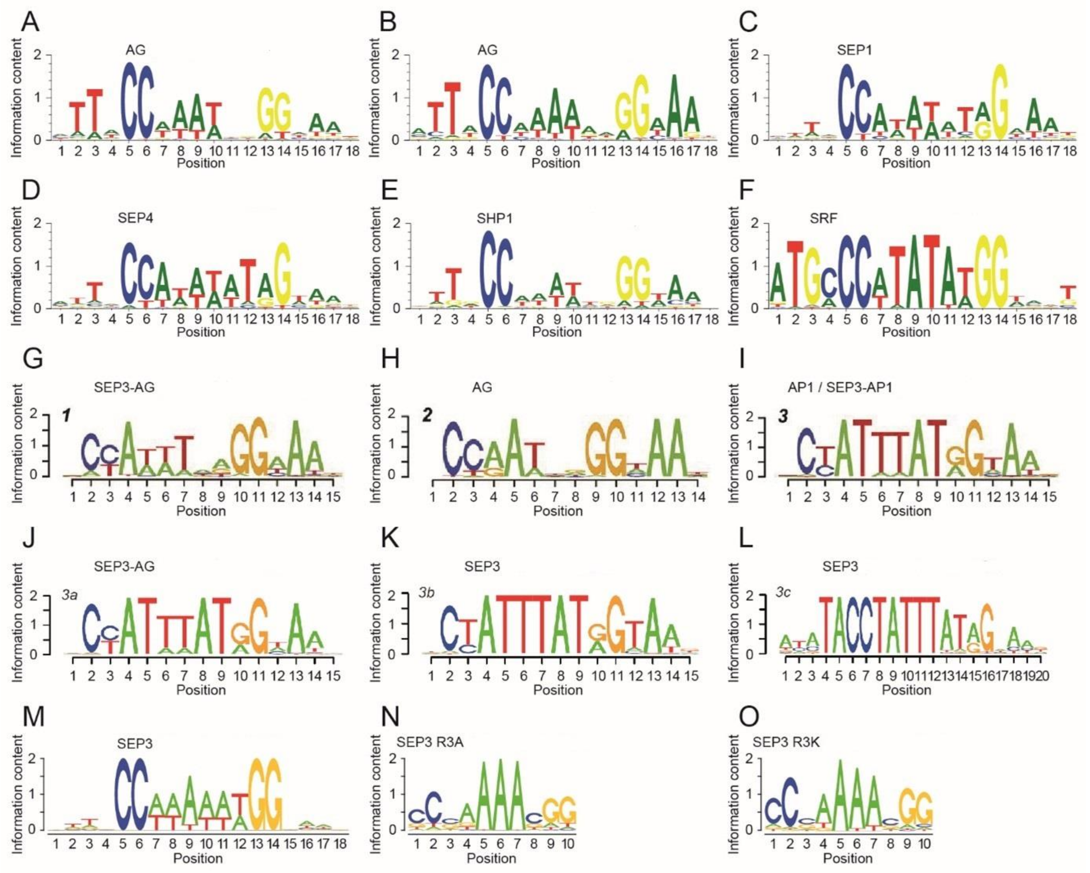 Ijms 24 08253 g003 Ijms 24 08253 g003