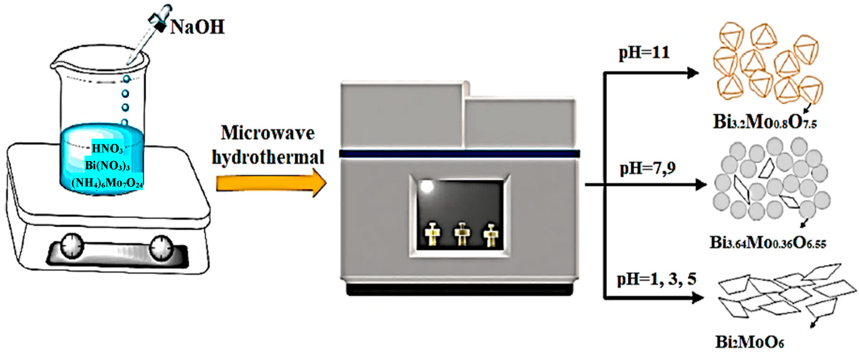 Ijms 24 08272 g002 Ijms 24 08272 g002