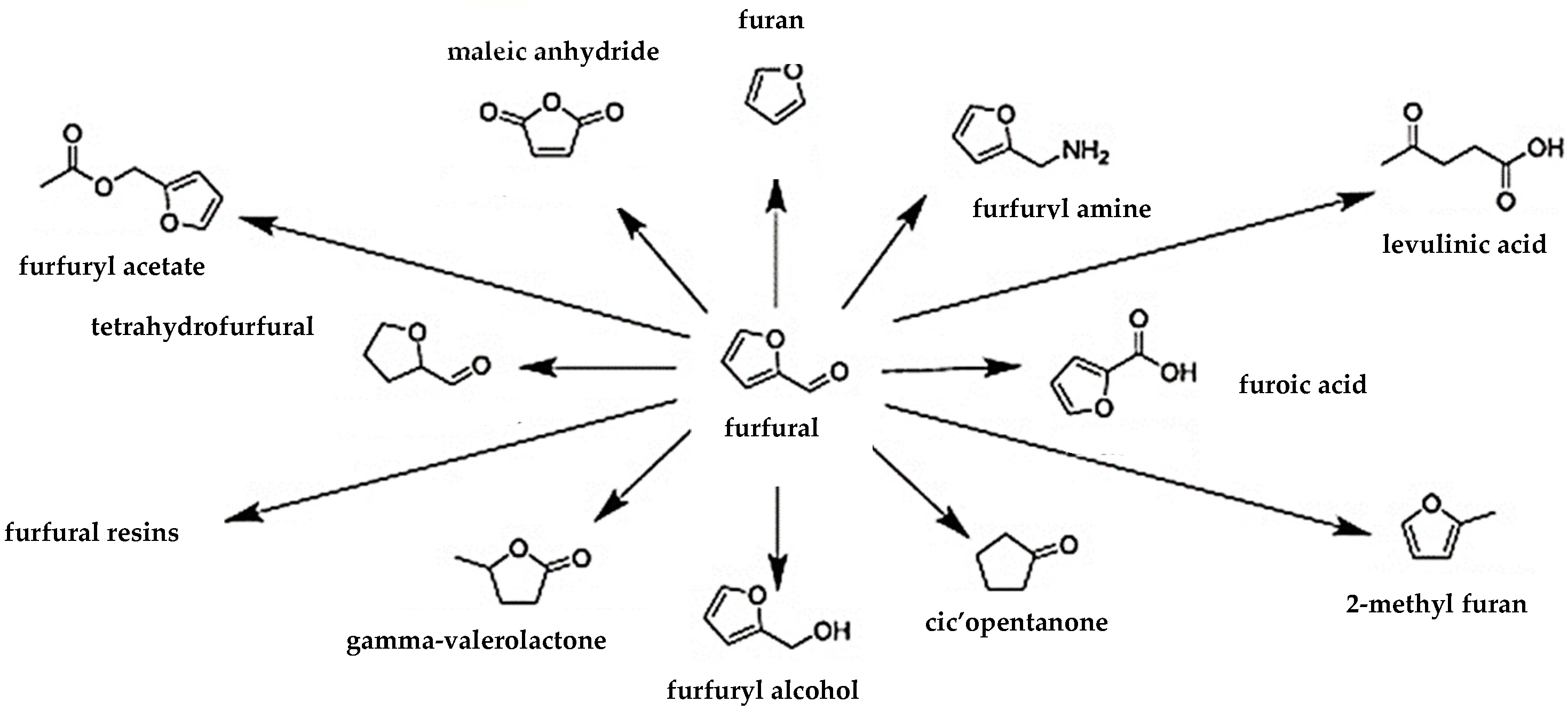 Ijms 24 08272 g006 Ijms 24 08272 g006