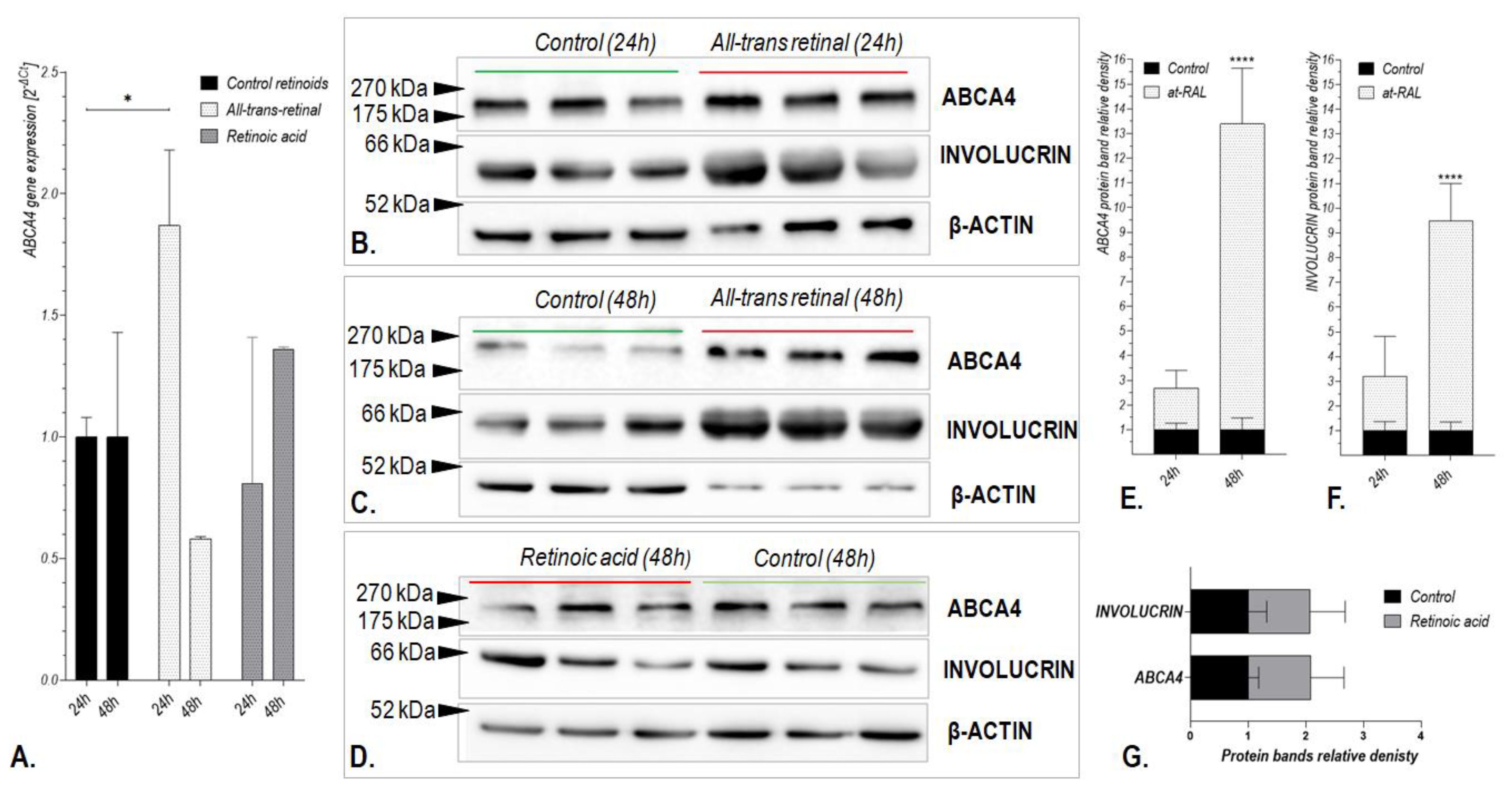 Ijms 24 08275 g004 Ijms 24 08275 g004