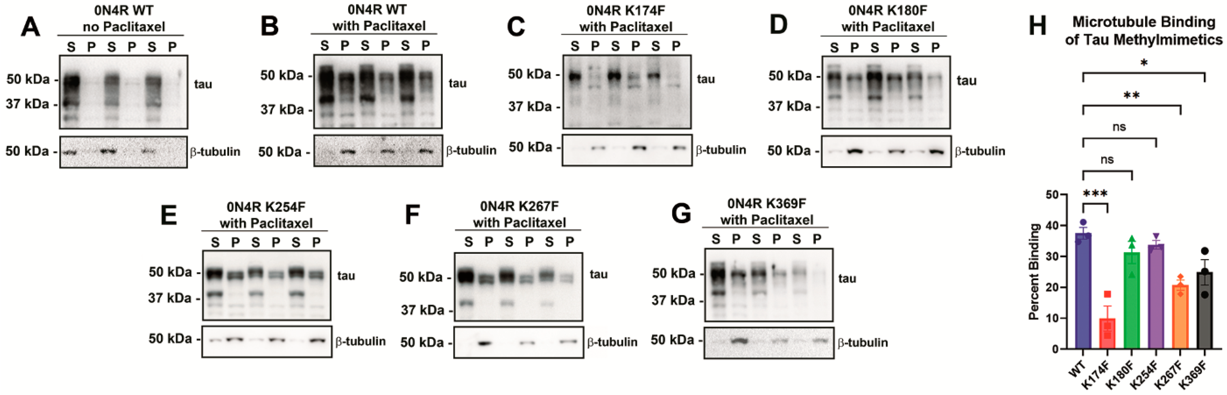 Ijms 24 08286 g002 Ijms 24 08286 g002