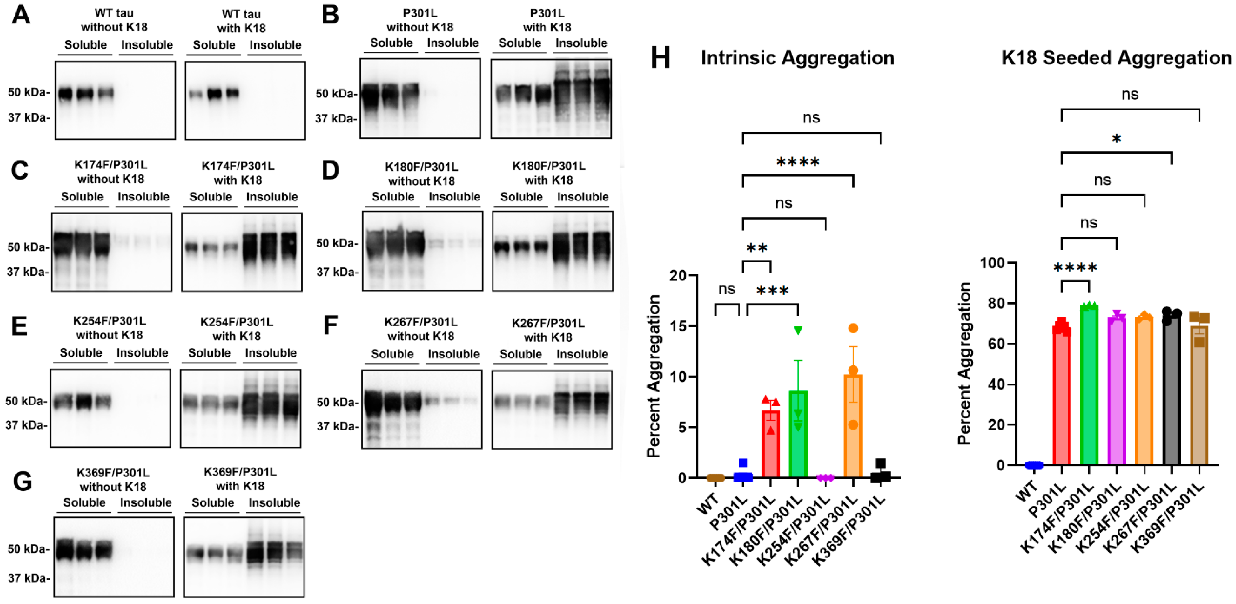 Ijms 24 08286 g004 Ijms 24 08286 g004