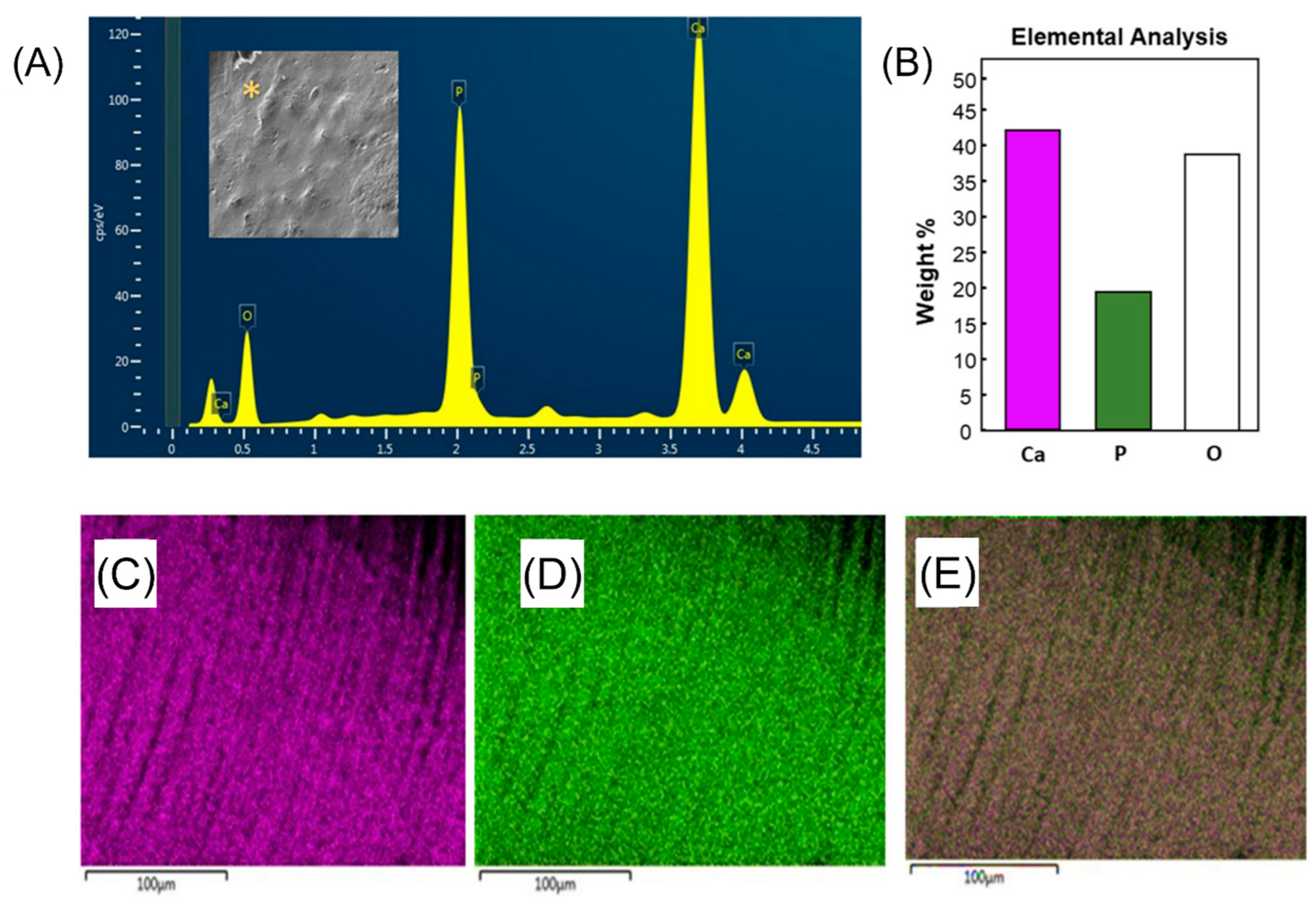 Ijms 24 08295 g004 Ijms 24 08295 g004
