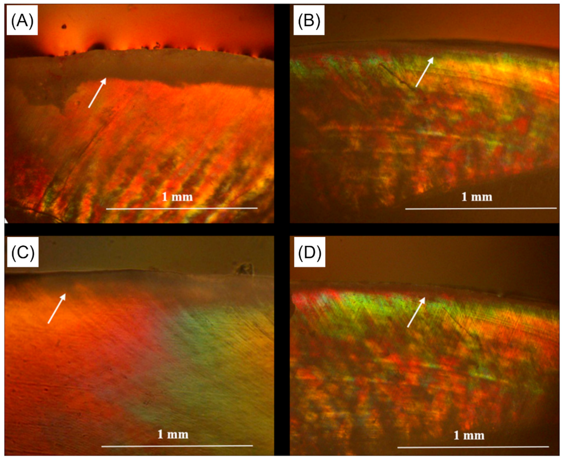 Ijms 24 08295 g005 Ijms 24 08295 g005