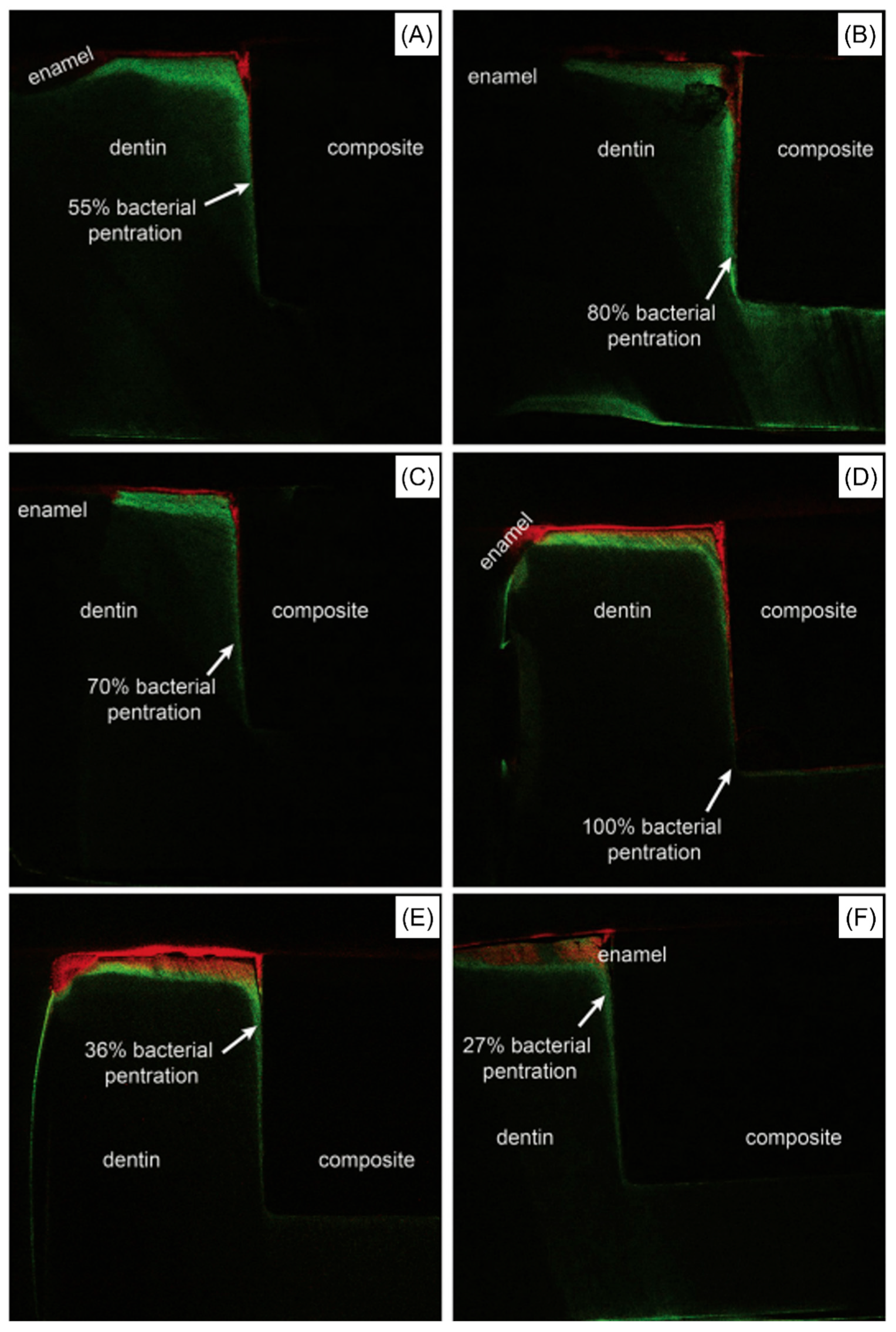 Ijms 24 08295 g008 Ijms 24 08295 g008