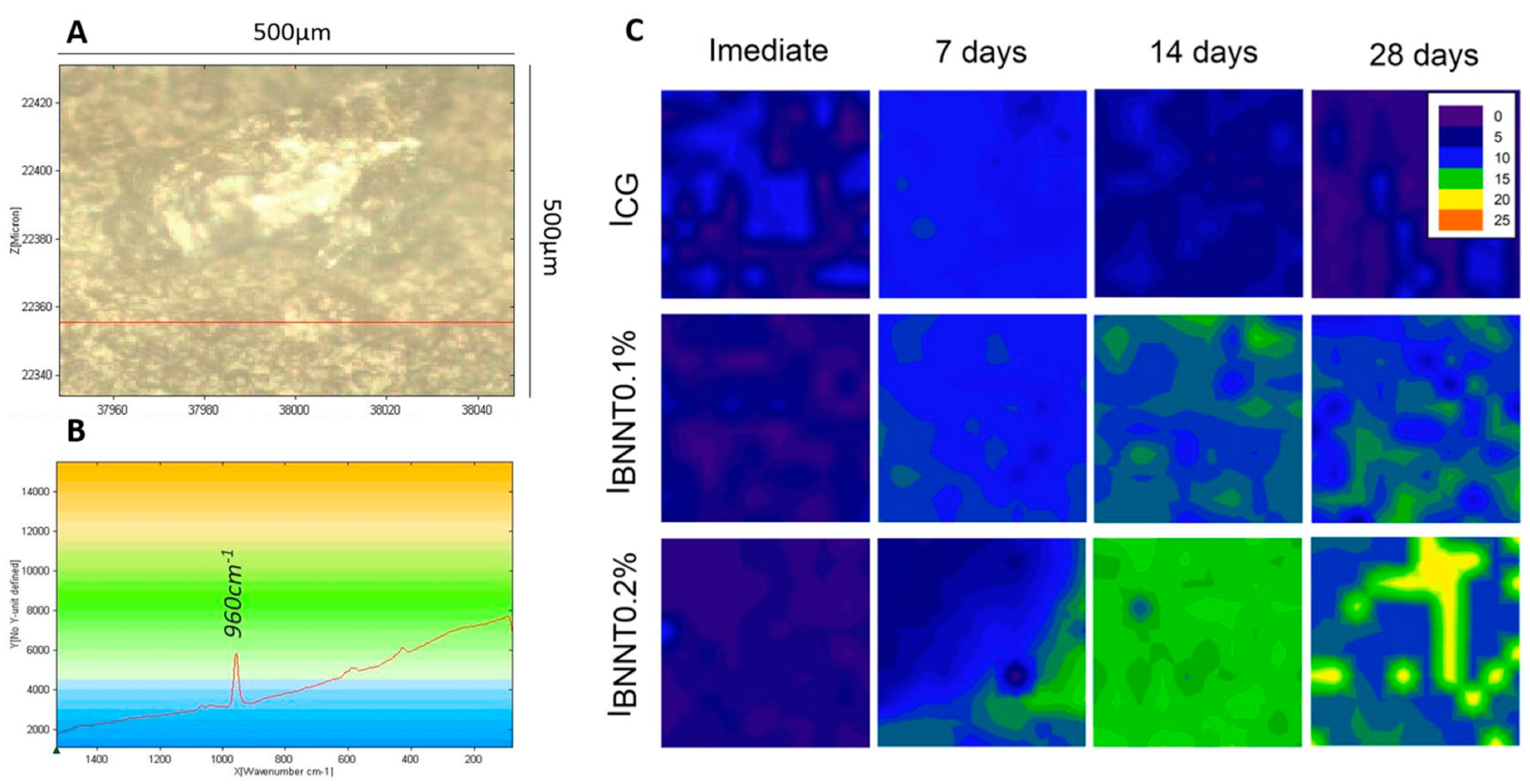 Ijms 24 08295 g009 Ijms 24 08295 g009
