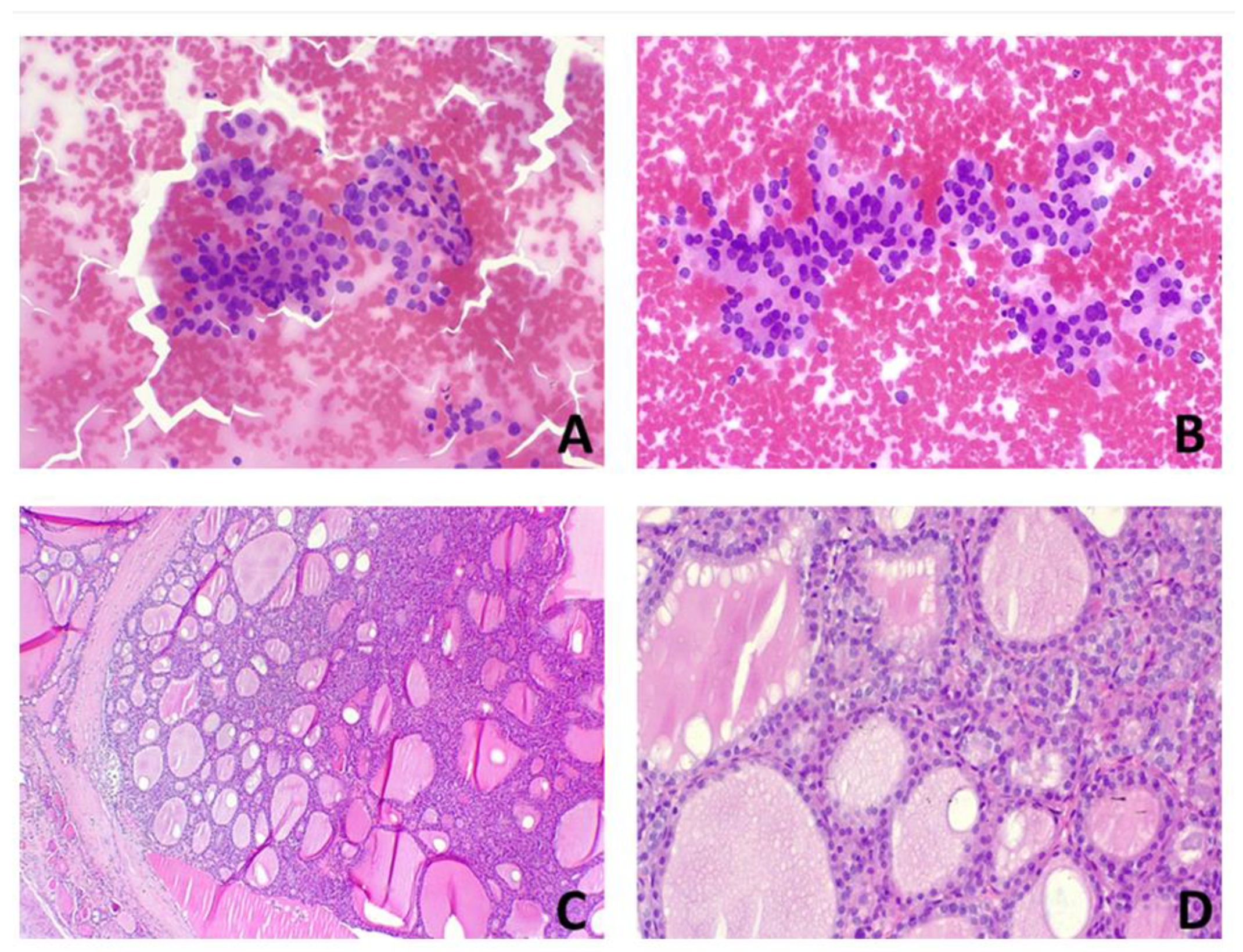 Ijms 24 08296 g002 Ijms 24 08296 g002