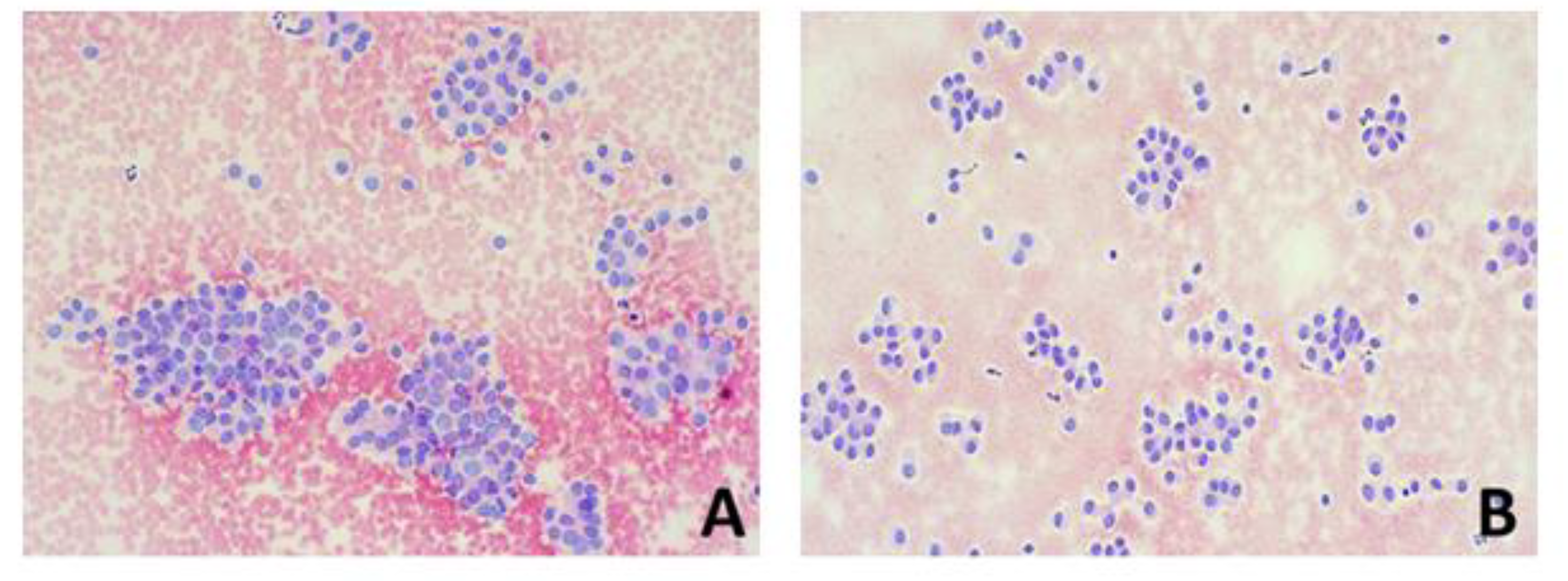 Ijms 24 08296 g003a Ijms 24 08296 g003a