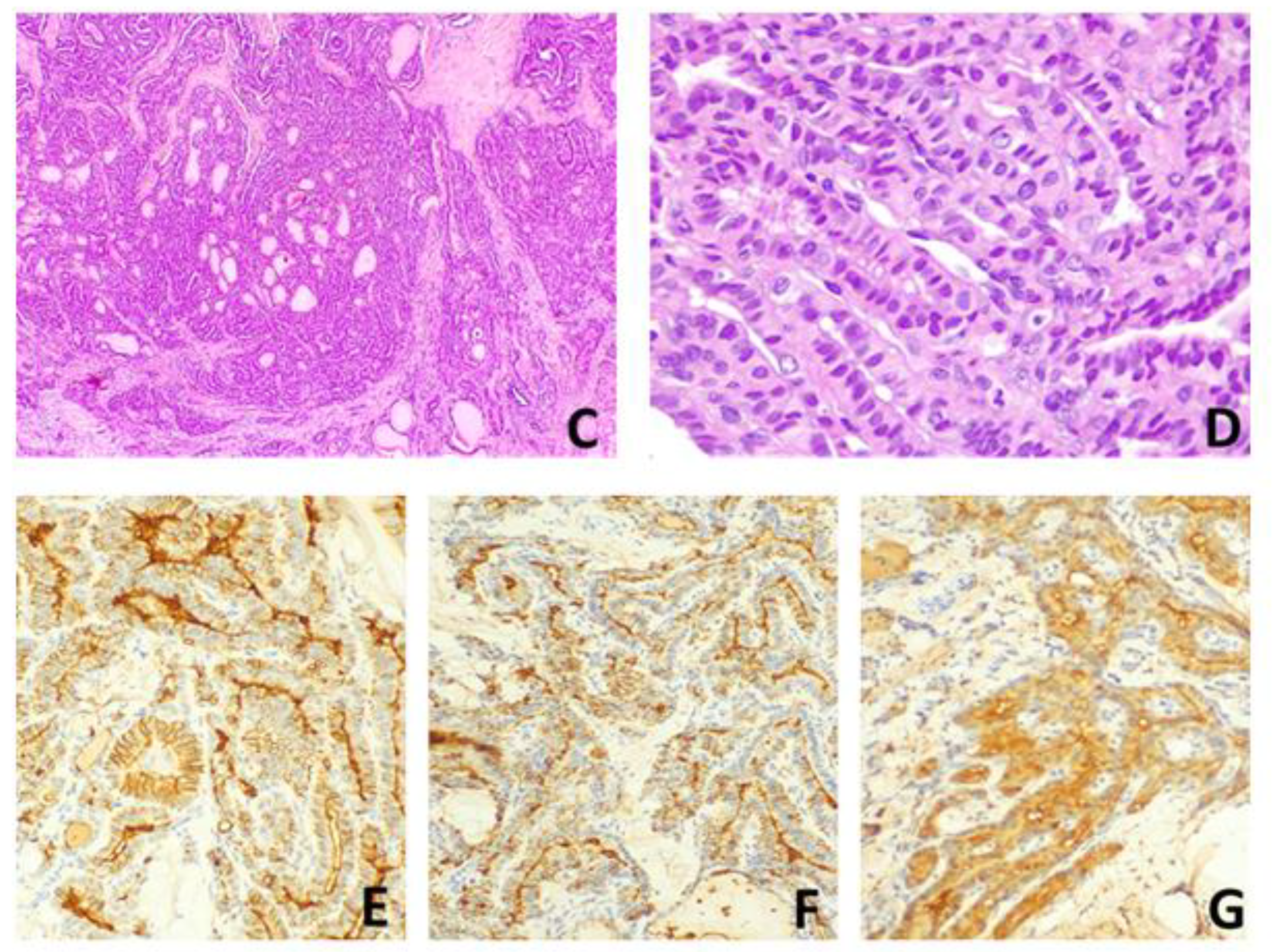 Ijms 24 08296 g003b Ijms 24 08296 g003b