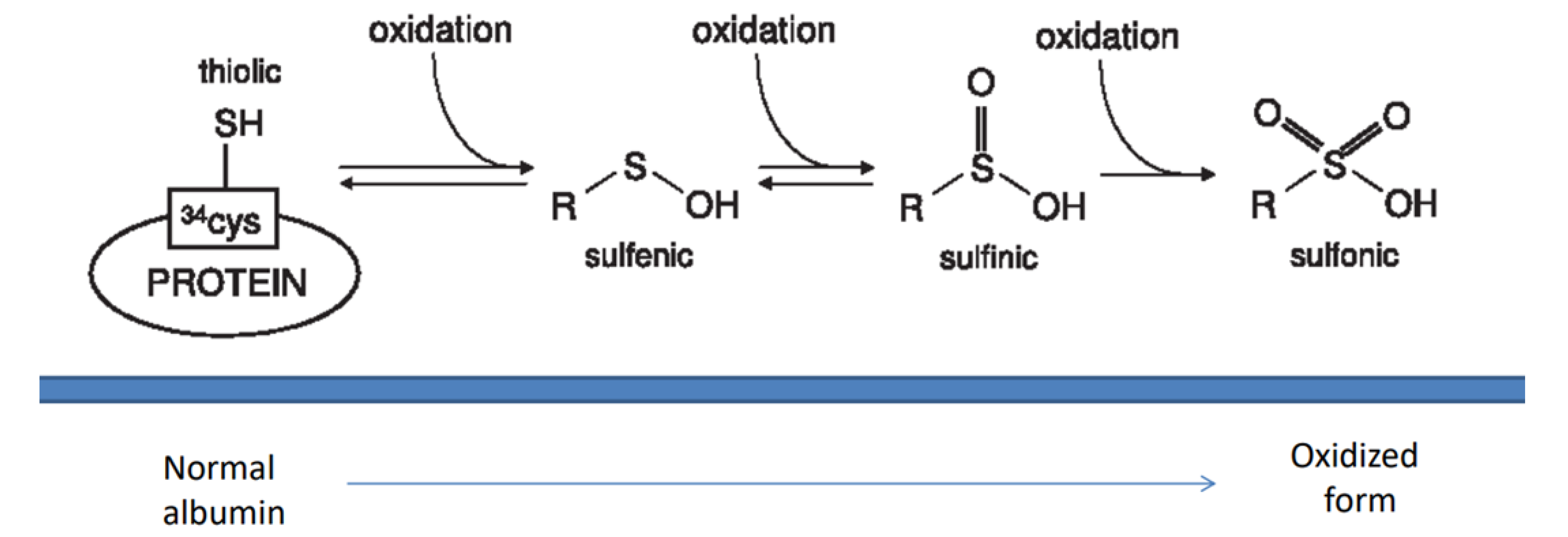 Ijms 24 08318 g001 Ijms 24 08318 g001
