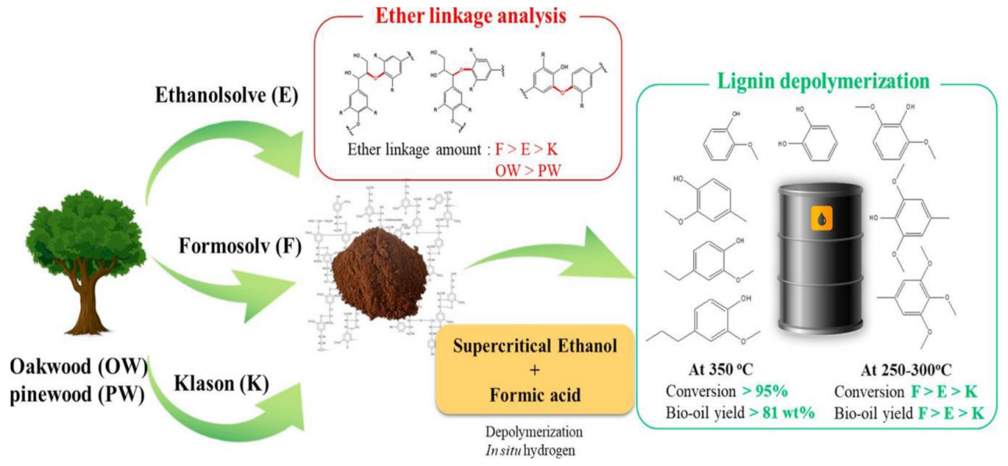 Ijms 24 08330 g003 Ijms 24 08330 g003